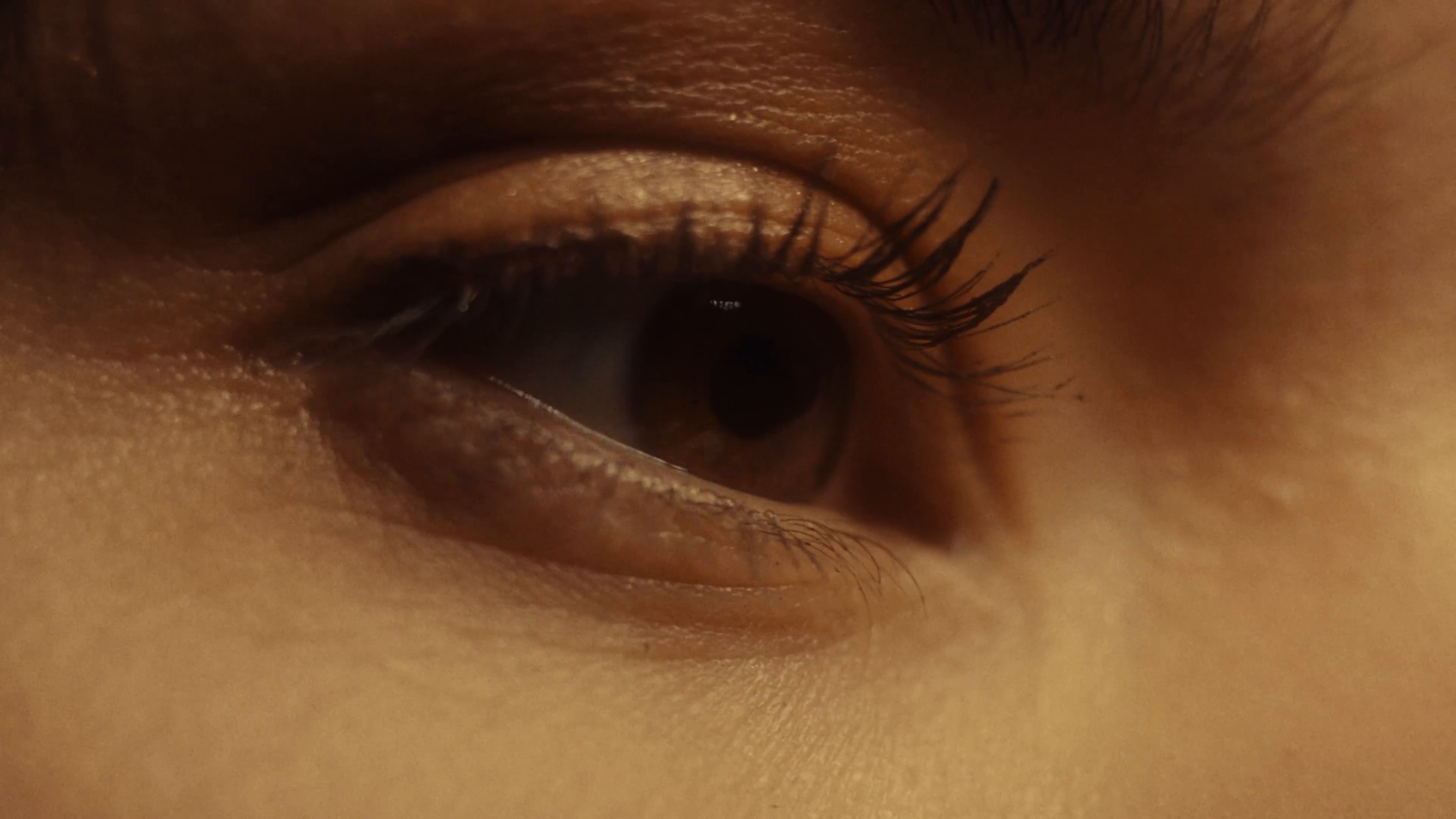 Ein Guter Plan (2024) —  shot,  lighting