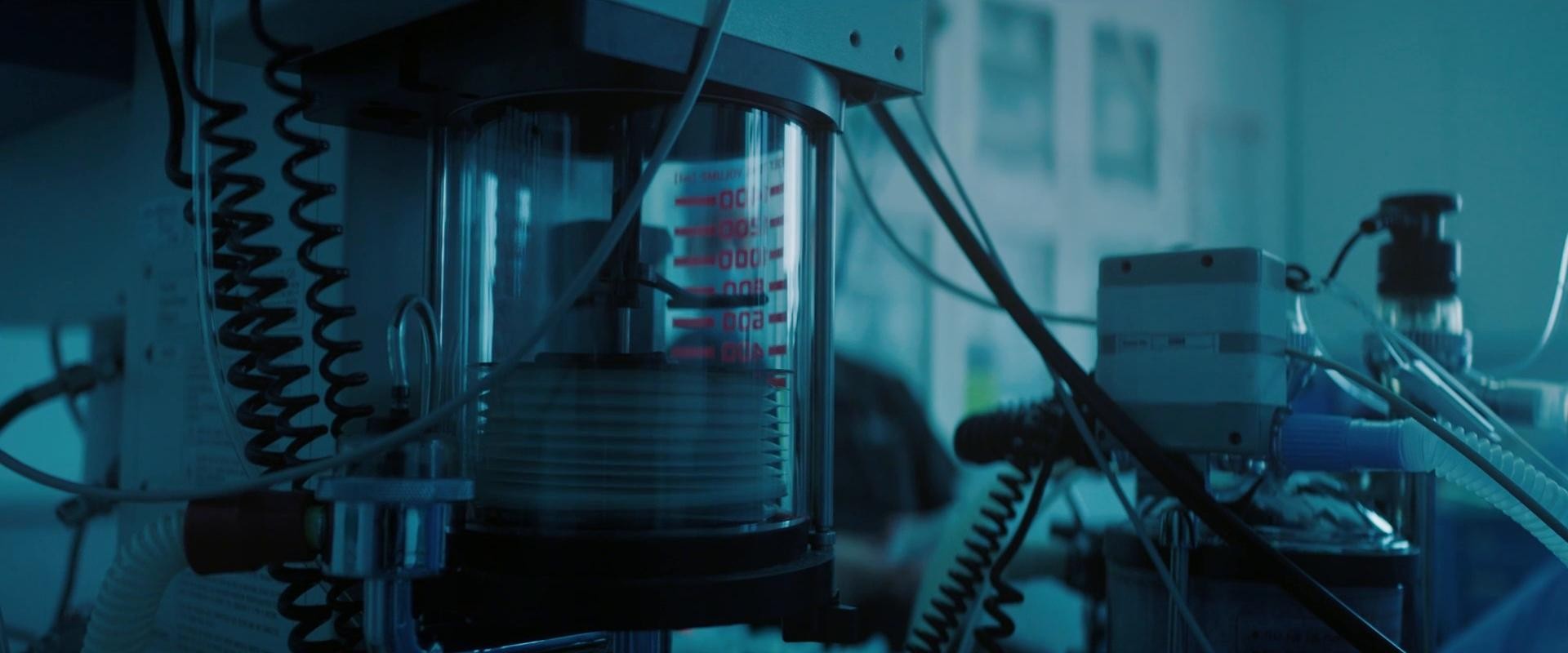 Low (2017) —  shot,  lighting