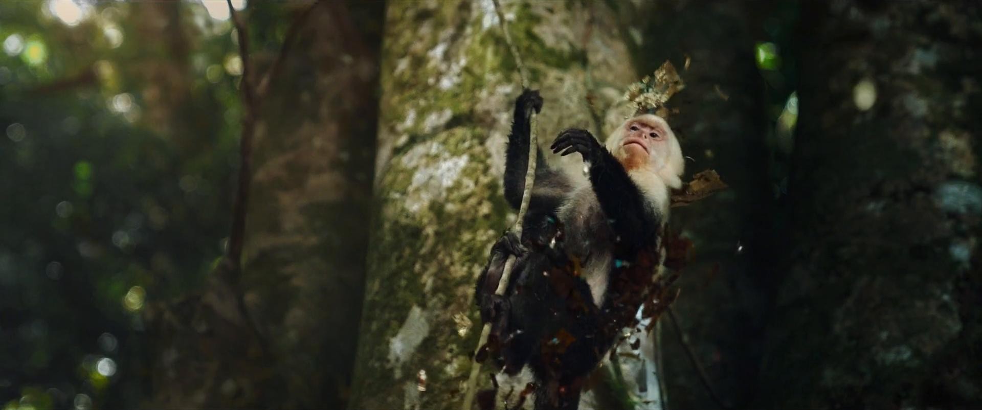 Eva Mendes schittert in wereldwijde lanceringscampagne voor FloeWater (2024) —  shot,  lighting