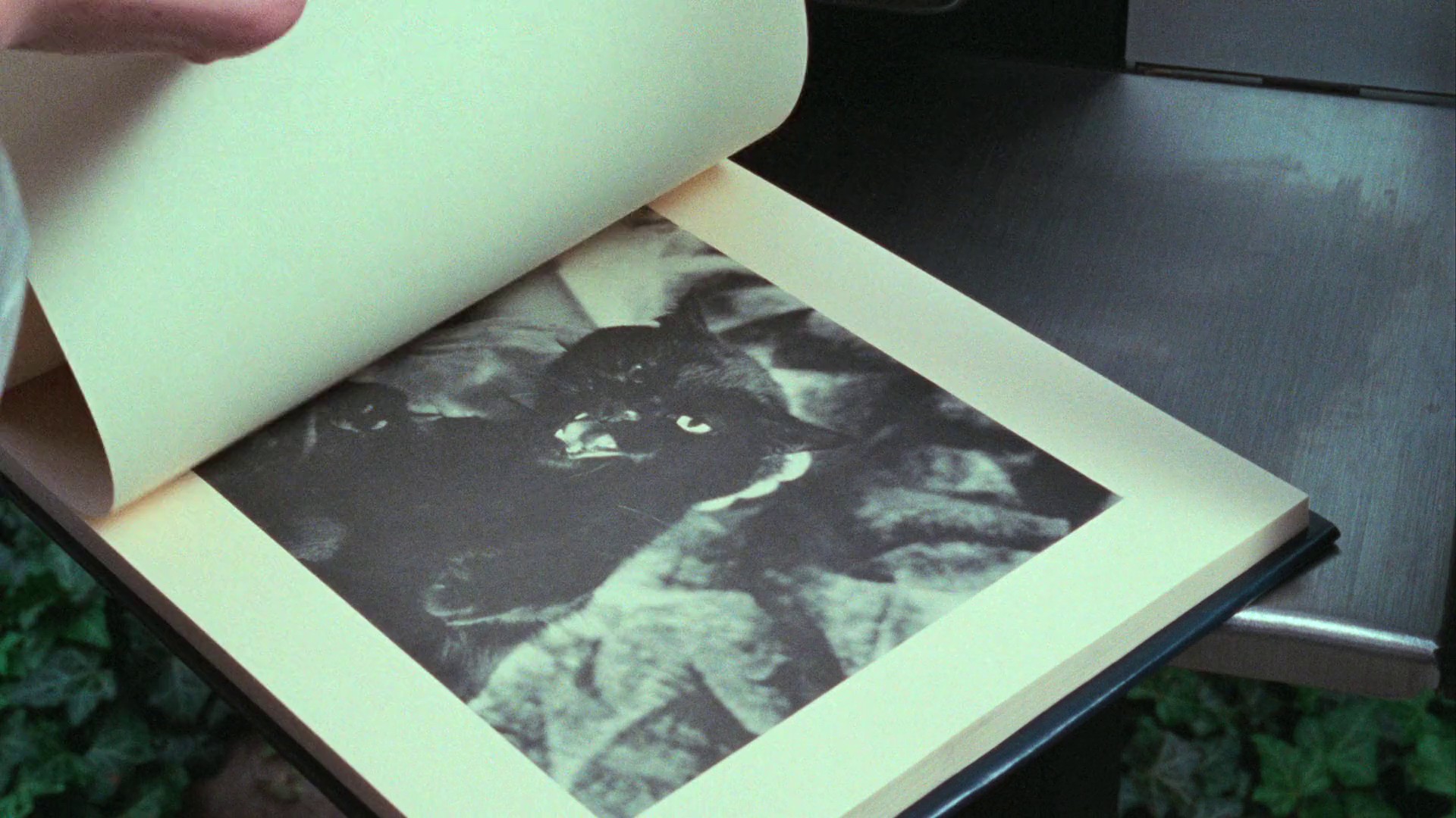  Two Evil Eyes (1990) —  shot,  lighting