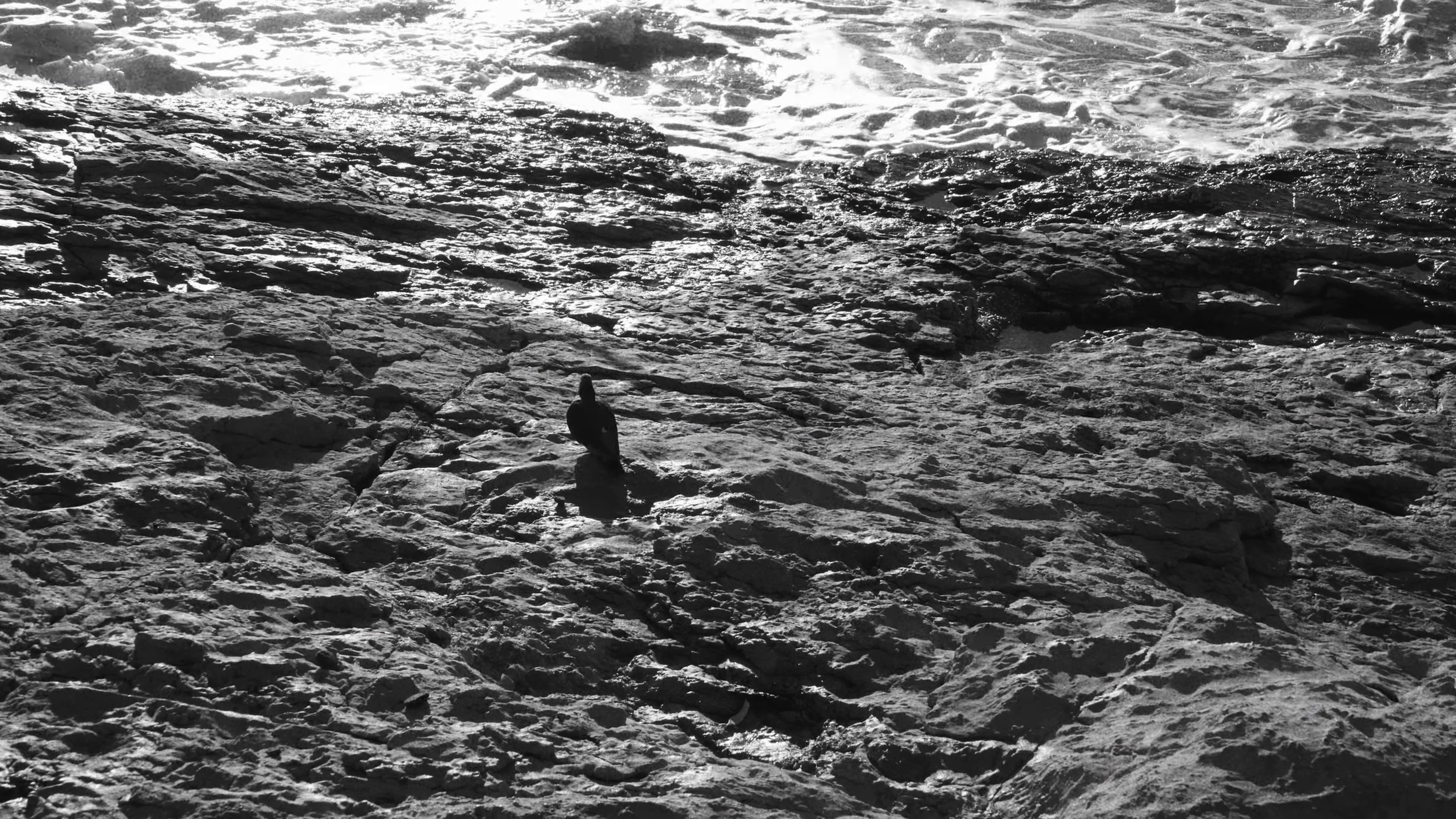 You are everywhere (2023) —  shot,  lighting