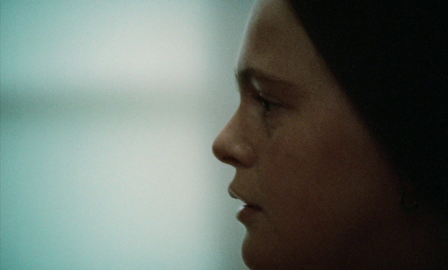 Cries & Whispers (1973) —  shot,  lighting