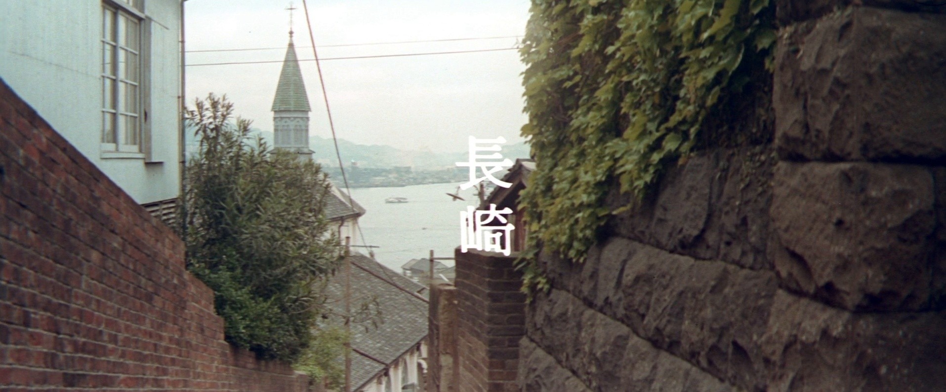 Foreigner's Mistress Oman: Falling Autumn Flower (1972) —  shot,  lighting