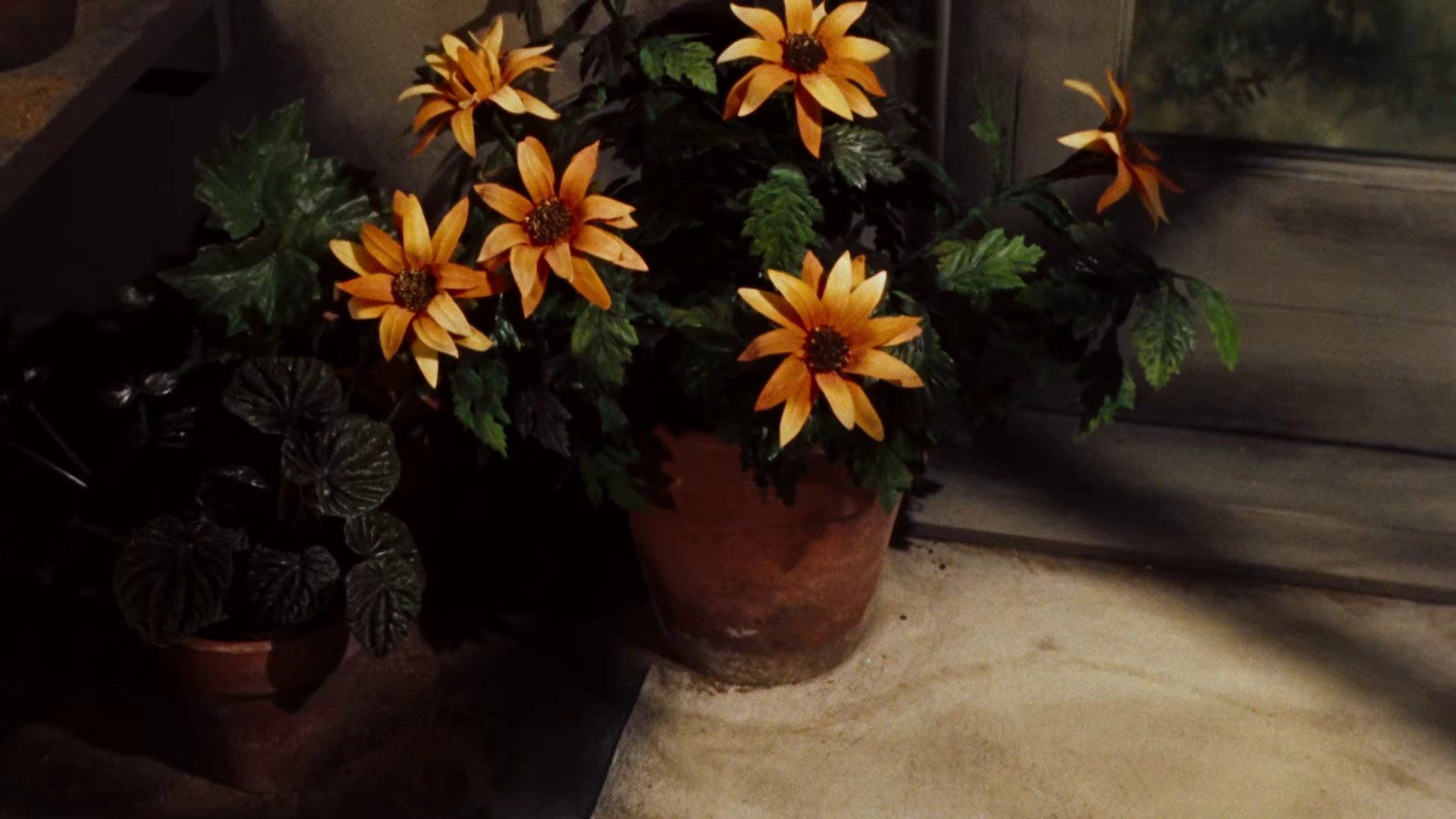 The Time Machine (1960) —  shot,  lighting