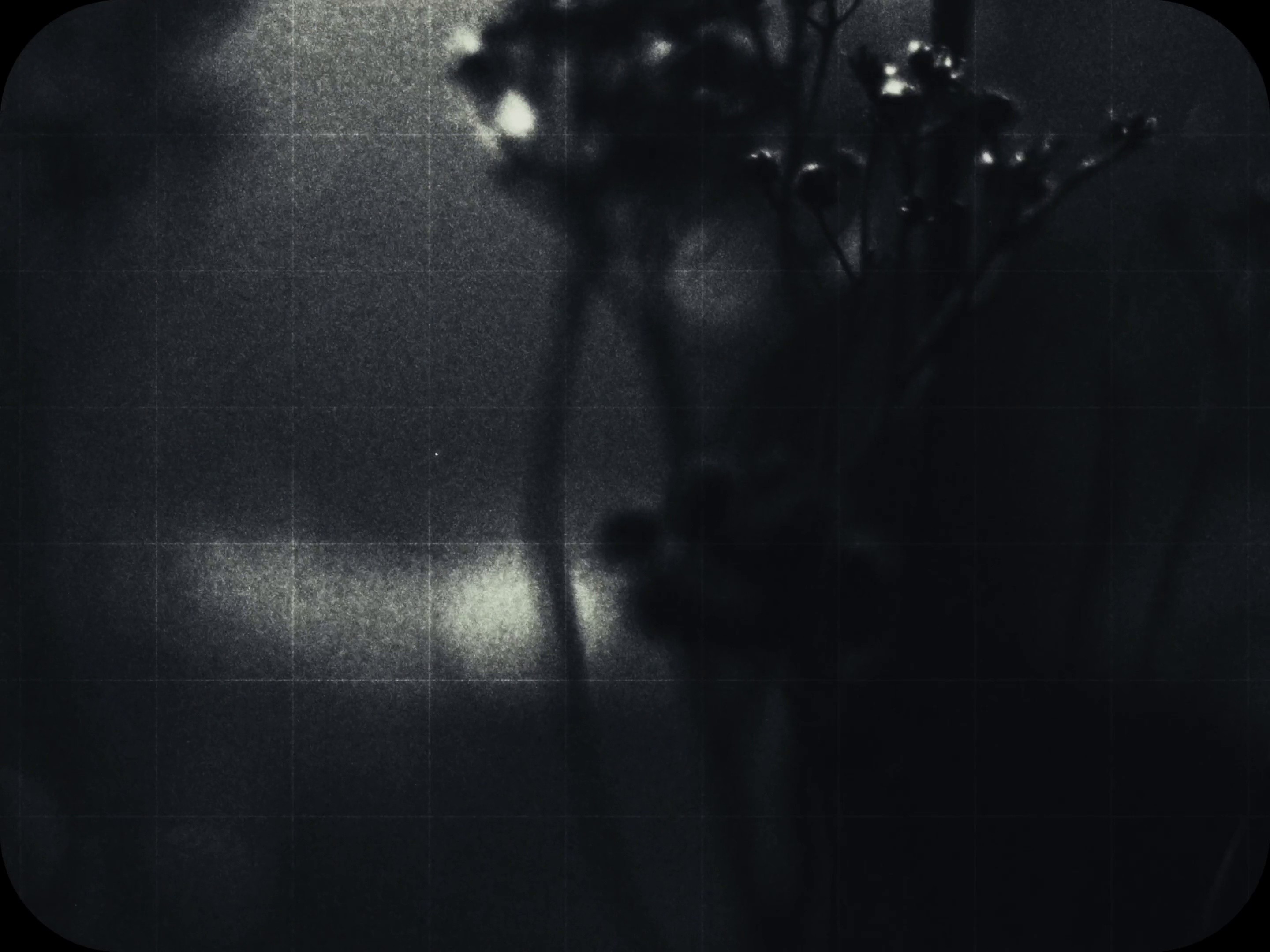 Bizarre Love Triangle (2025) —  shot,  lighting