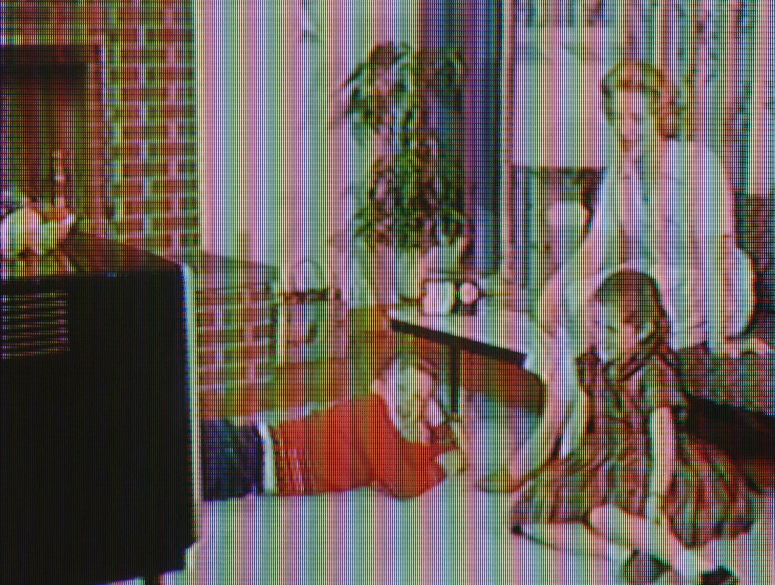 BIAS (2024) —  shot,  lighting