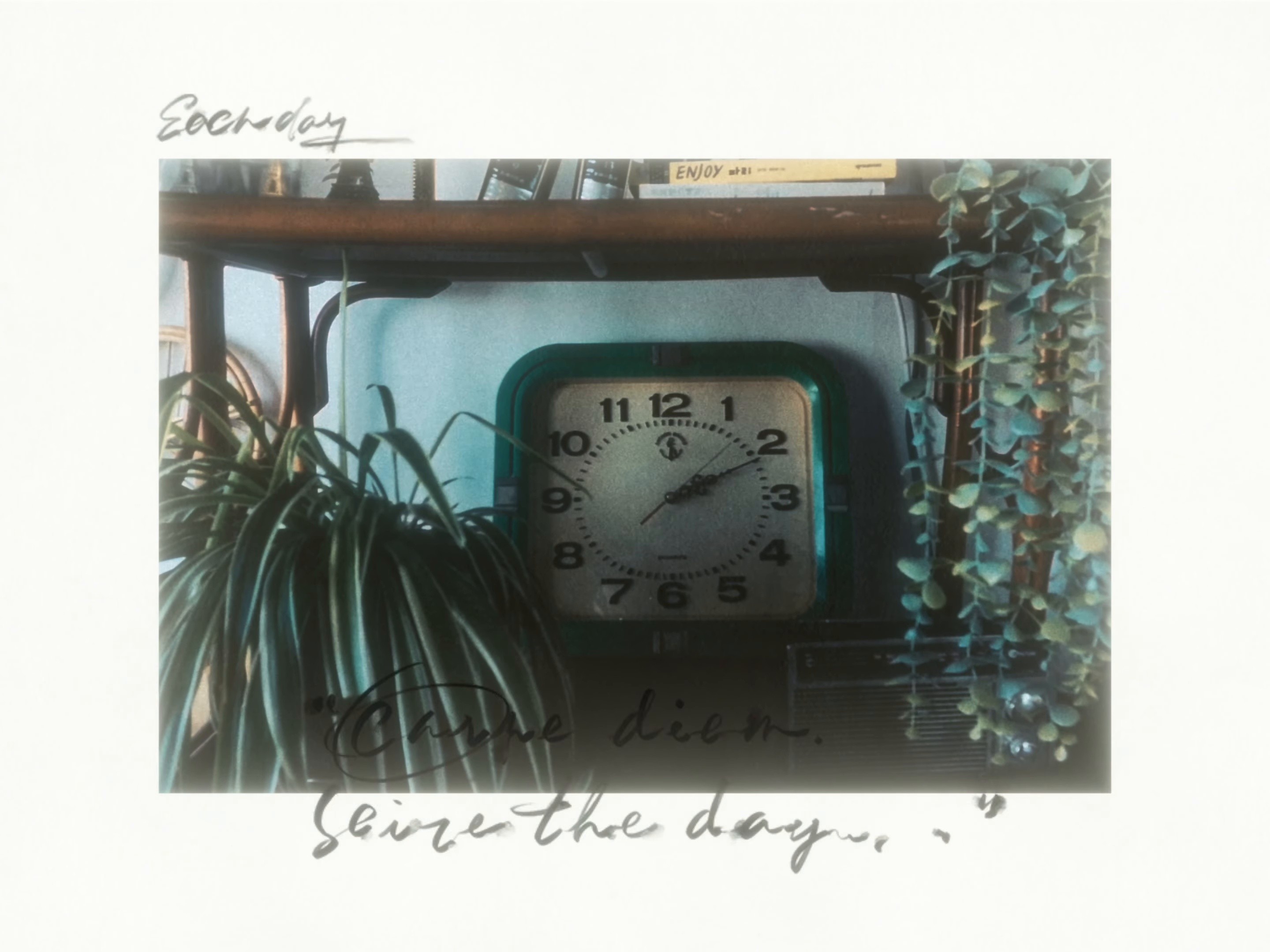 𝐑𝐨𝐦𝐞𝐨 & 𝐉𝐮𝐥𝐢𝐞𝐭 ᴢᴇᴇ ᴏꜰ ᴀᴅᴏʏ REMIX (2025) —  shot,  lighting