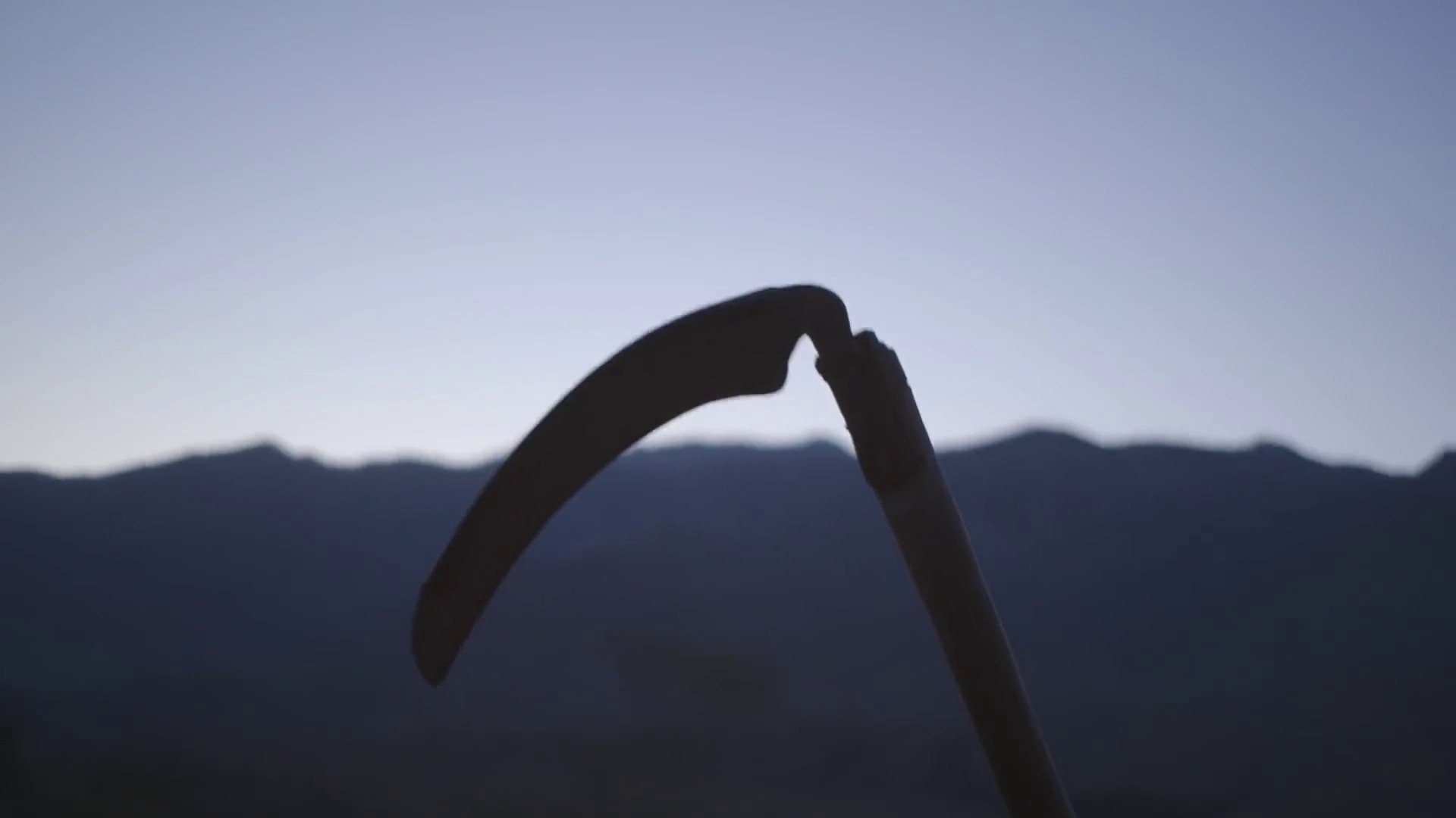 Night Owl  (2016) —  shot,  lighting