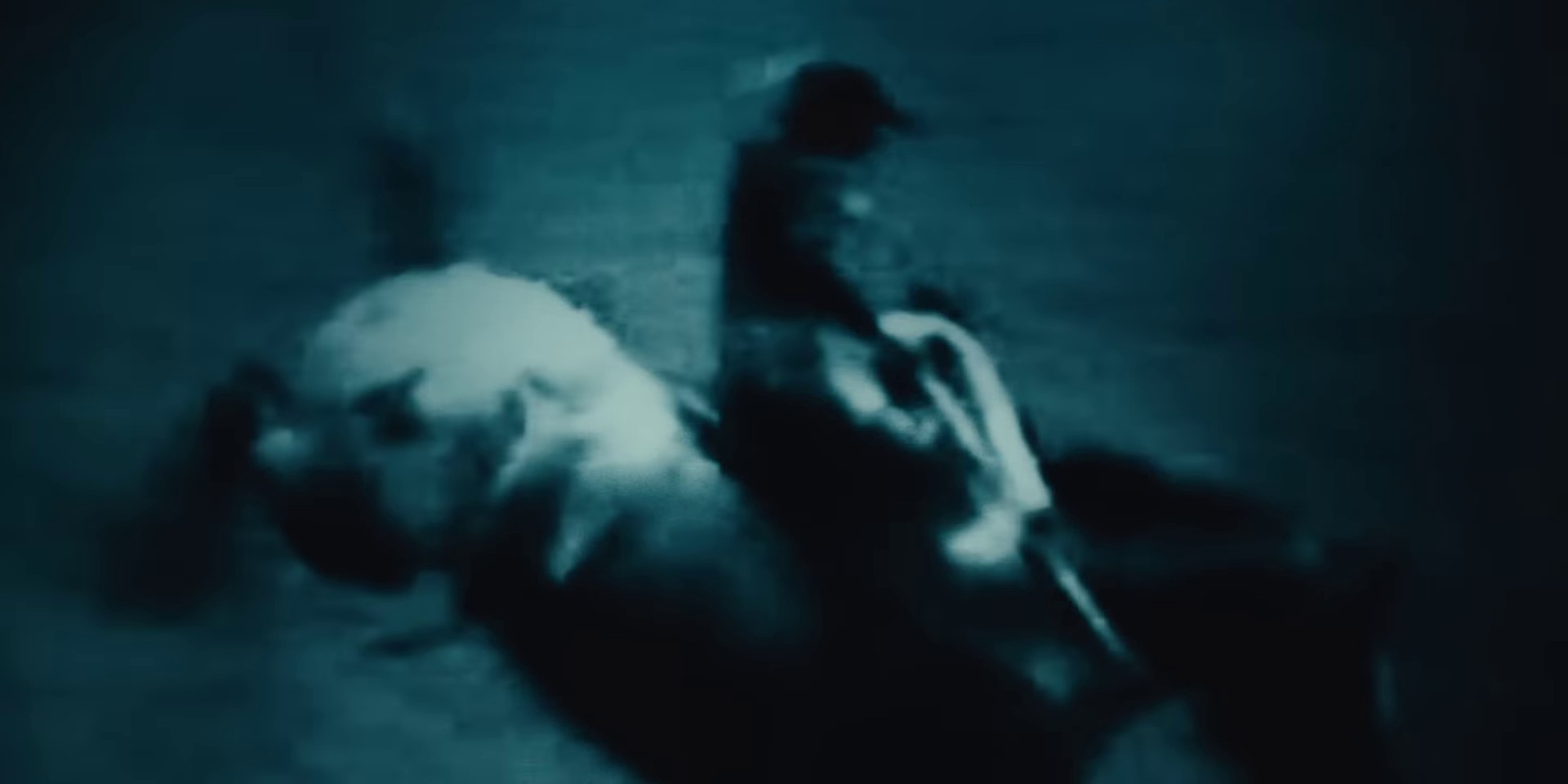 First Rodeo (2024) —  shot,  lighting