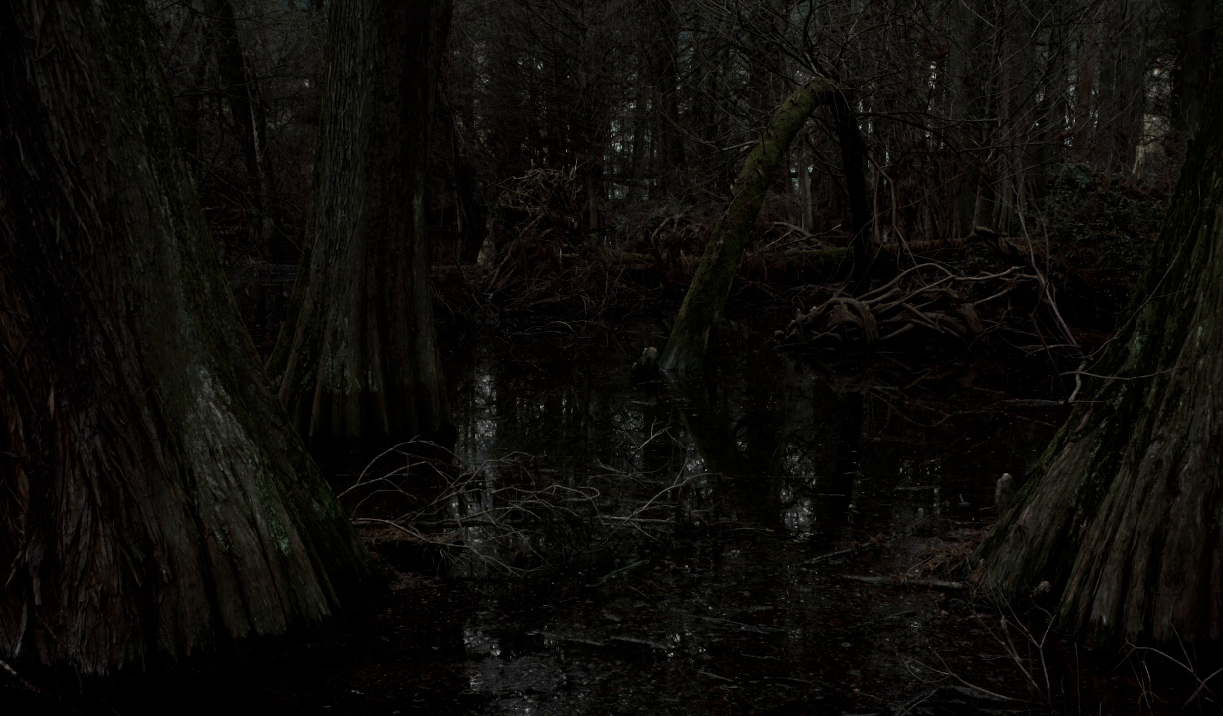 DEMON (2024) —  shot,  lighting