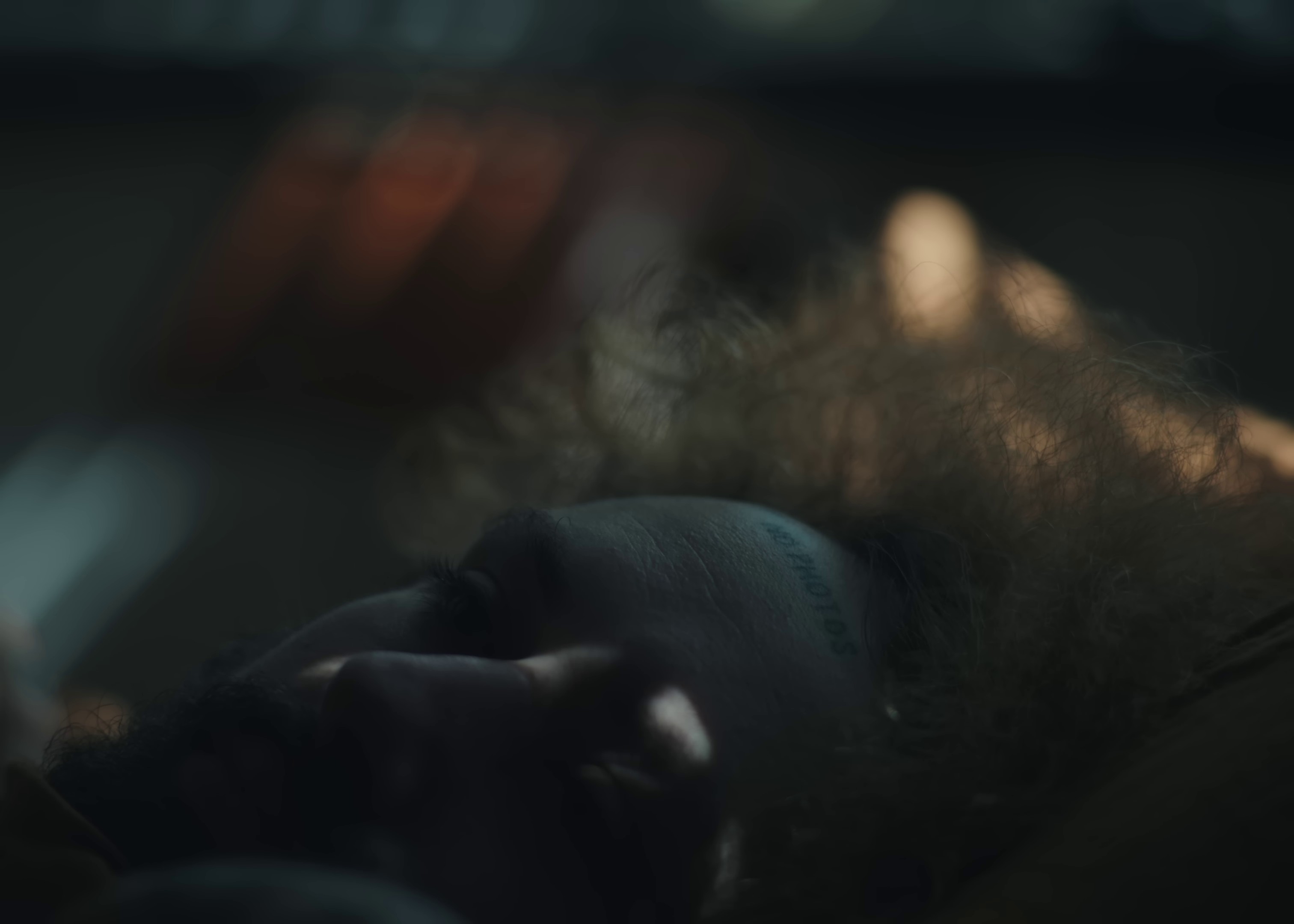 Not Even Ghosts Are This Empty (2023) —  shot,  lighting