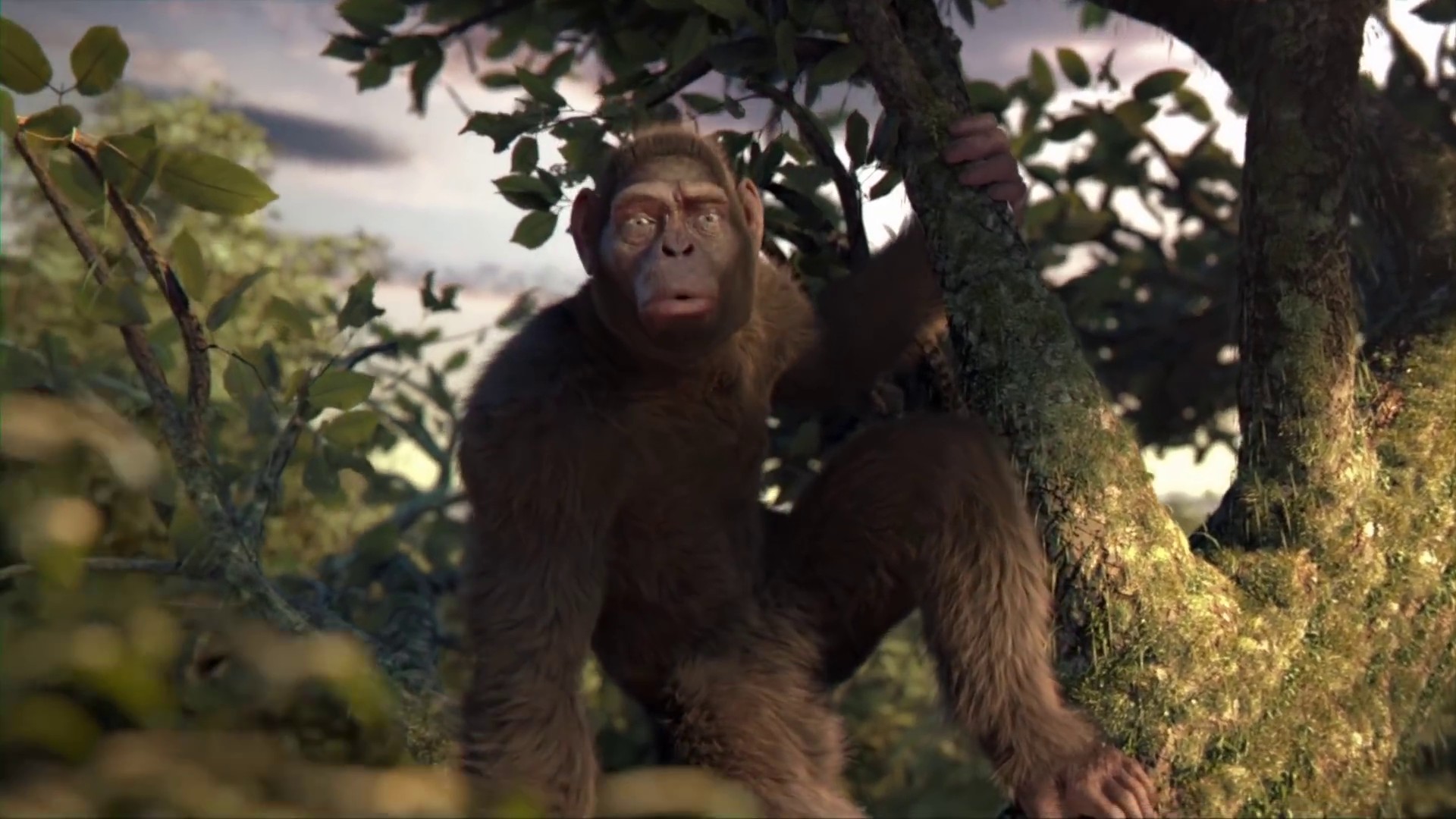 Adventure Of A Lifetime (2015) —  shot,  lighting