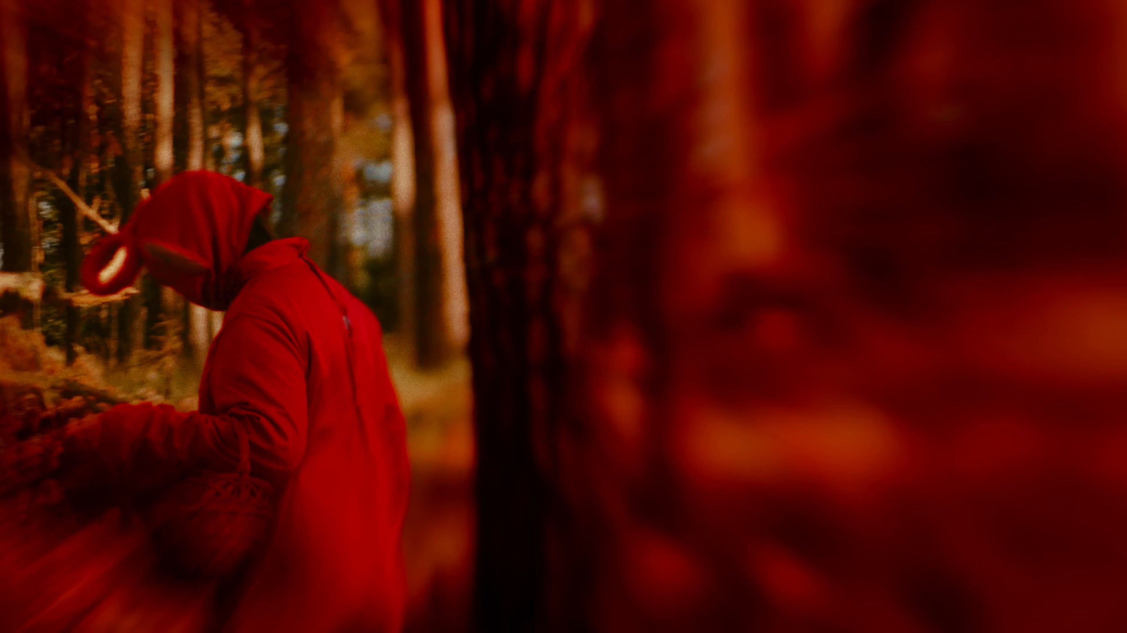 Kliešte (2023) —  shot,  lighting