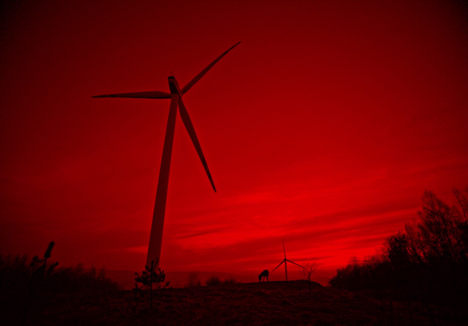 EO (2022) —  shot,  lighting