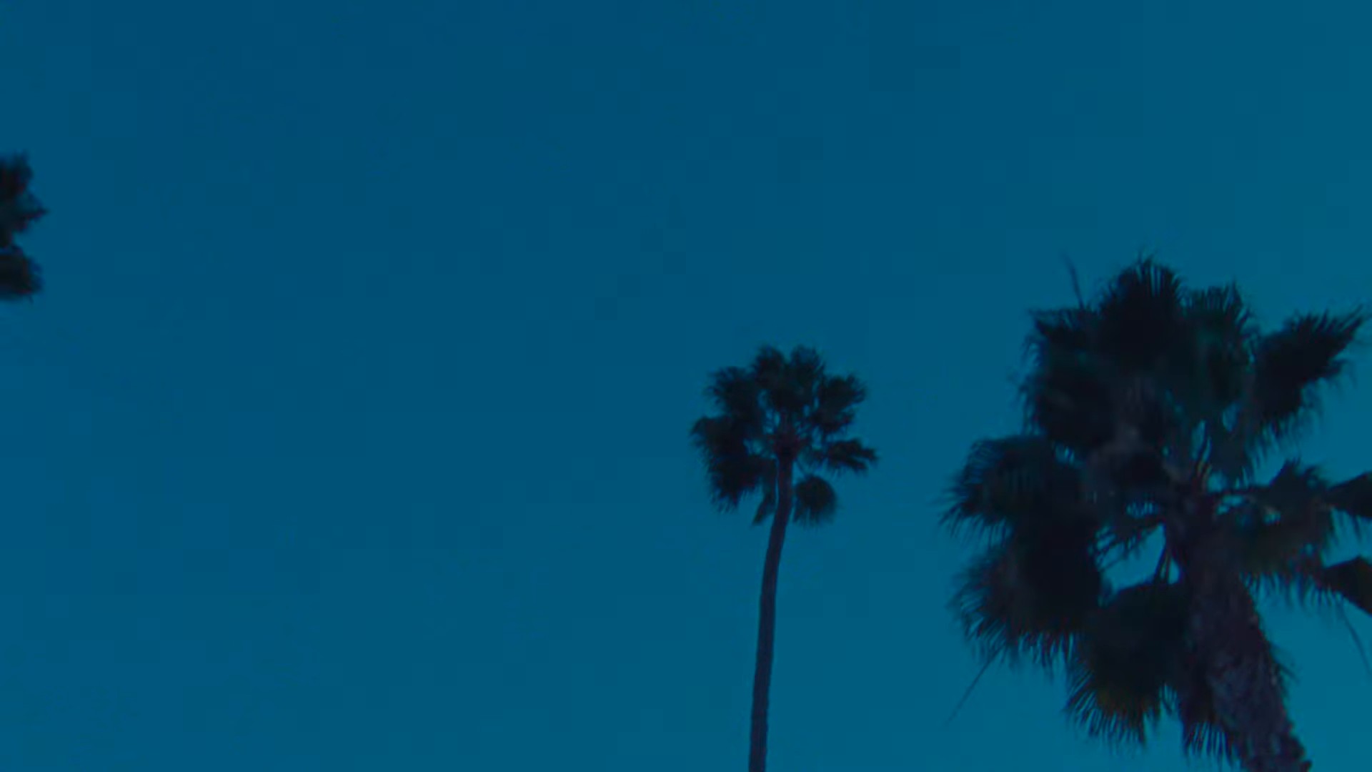 Counting Sheep (2024) —  shot,  lighting