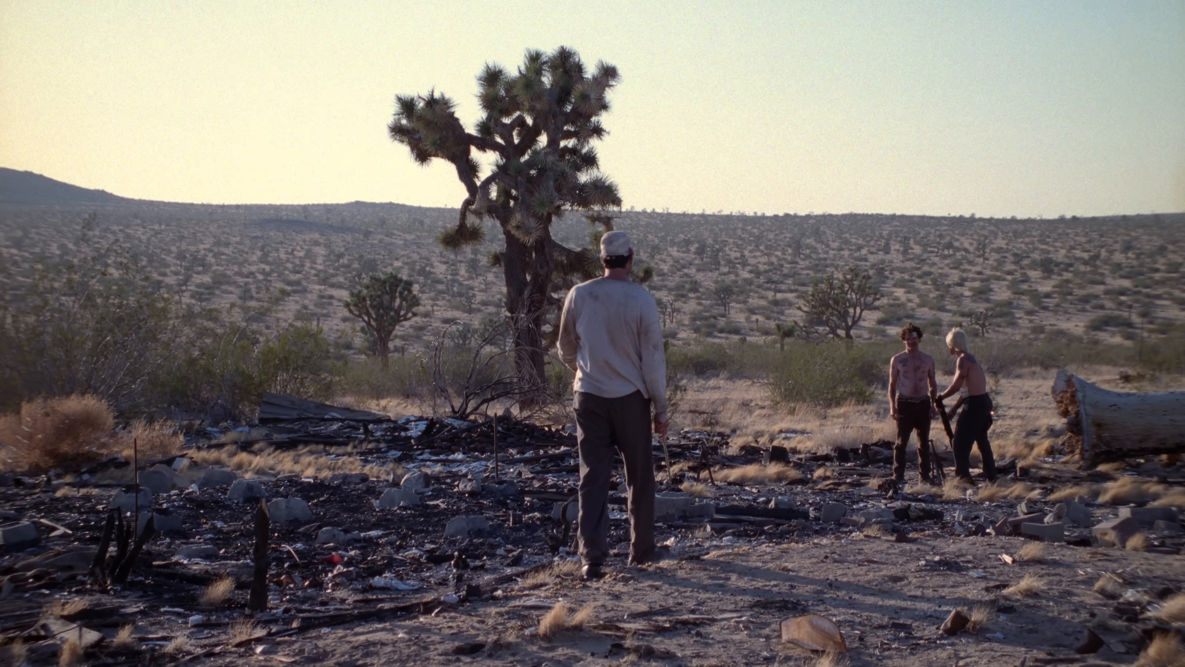 Scar Tissue (2011) —  shot,  lighting
