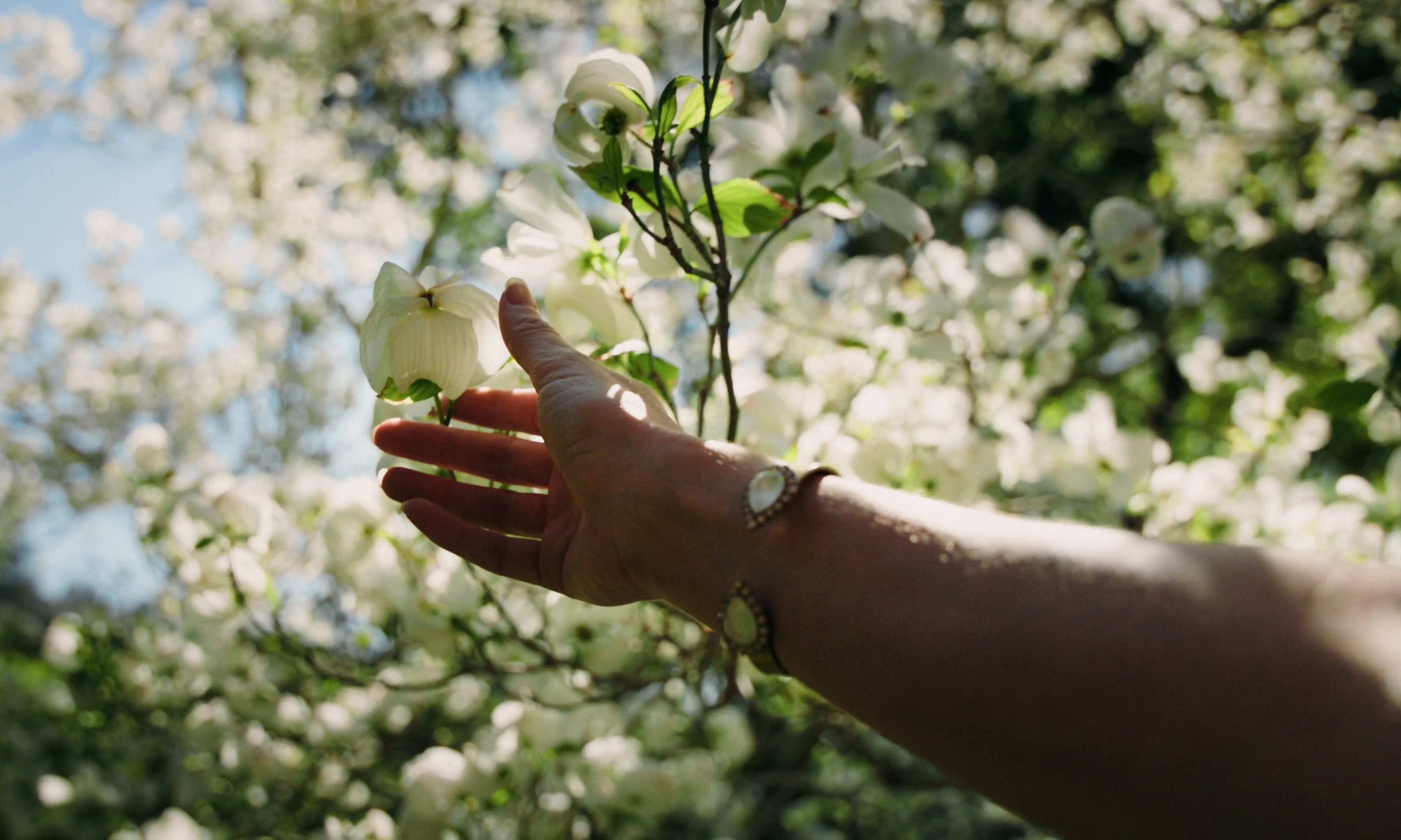 Compass - Beyond Walls - Director's Cut (2024) —  shot,  lighting