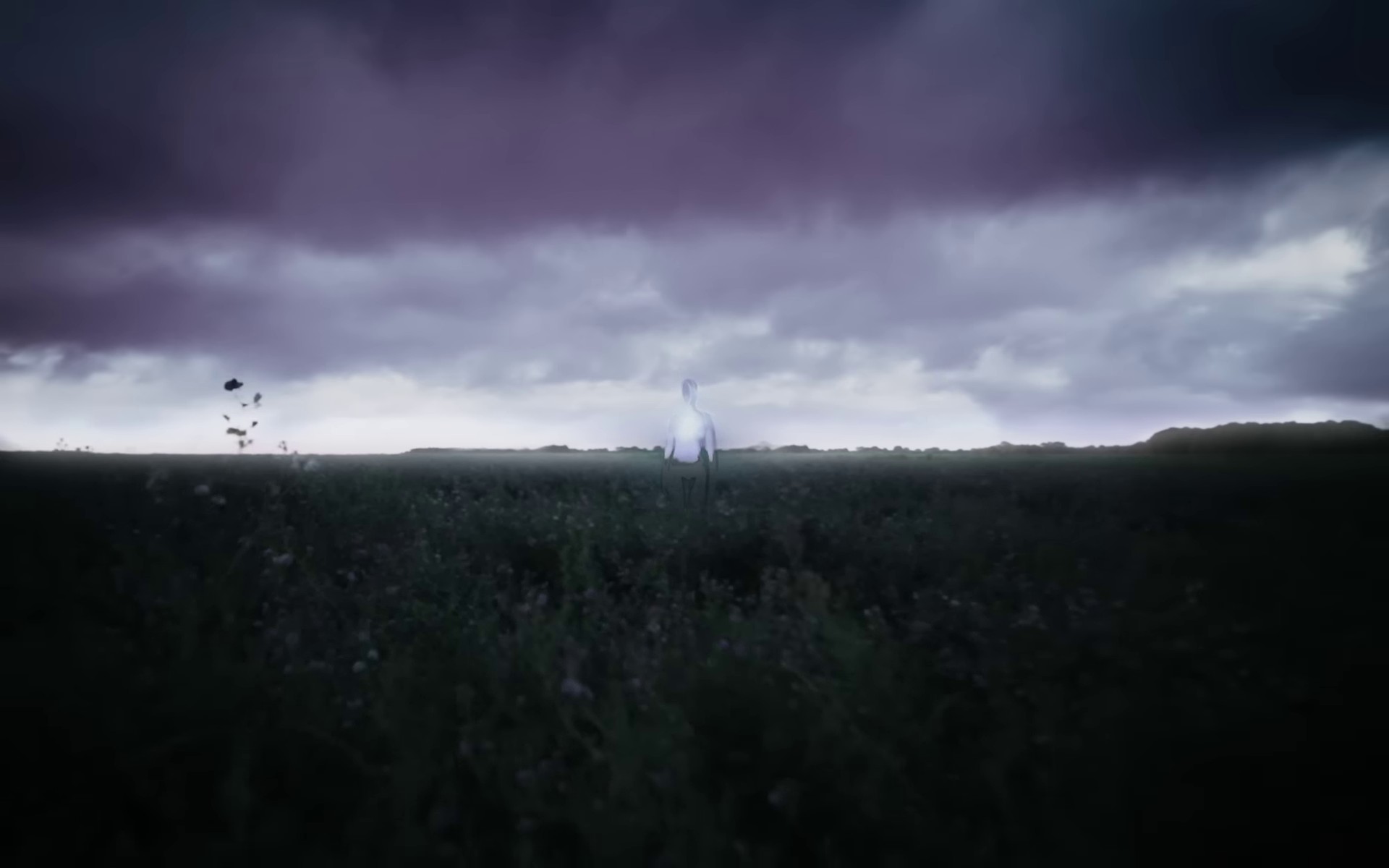 WHERE'S THE LIGHT ? (2023) —  shot,  lighting