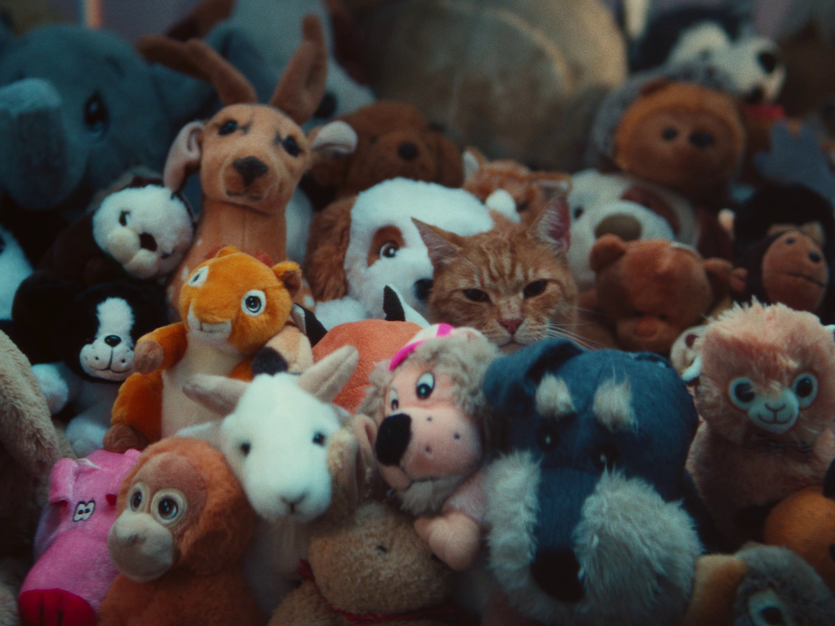 Hill's - Silent Sufferers (DC) (2024) —  shot,  lighting