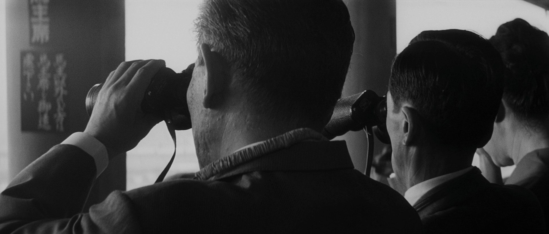 Pale Flower (2023) —  shot,  lighting