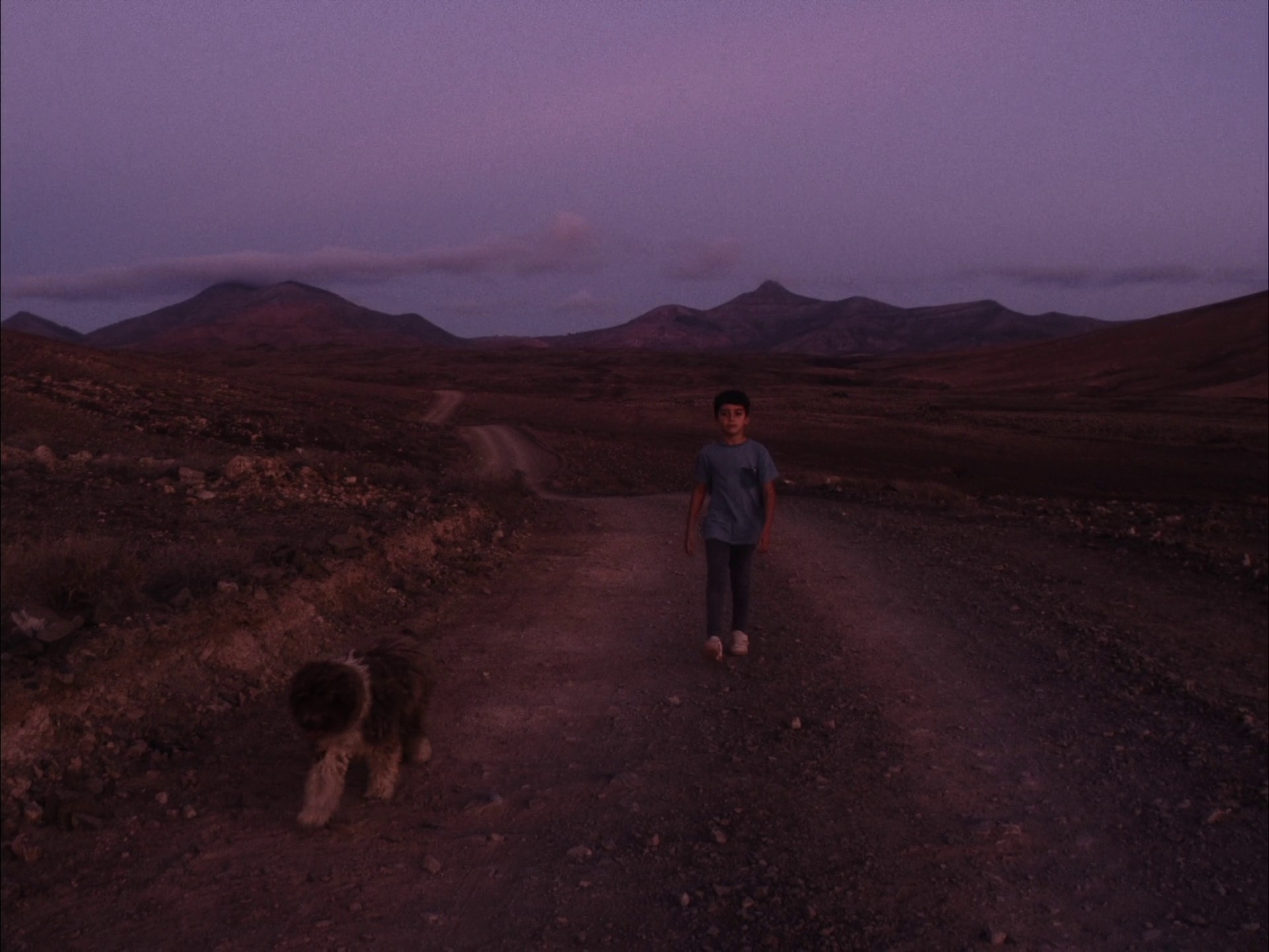 June (2022) —  shot,  lighting