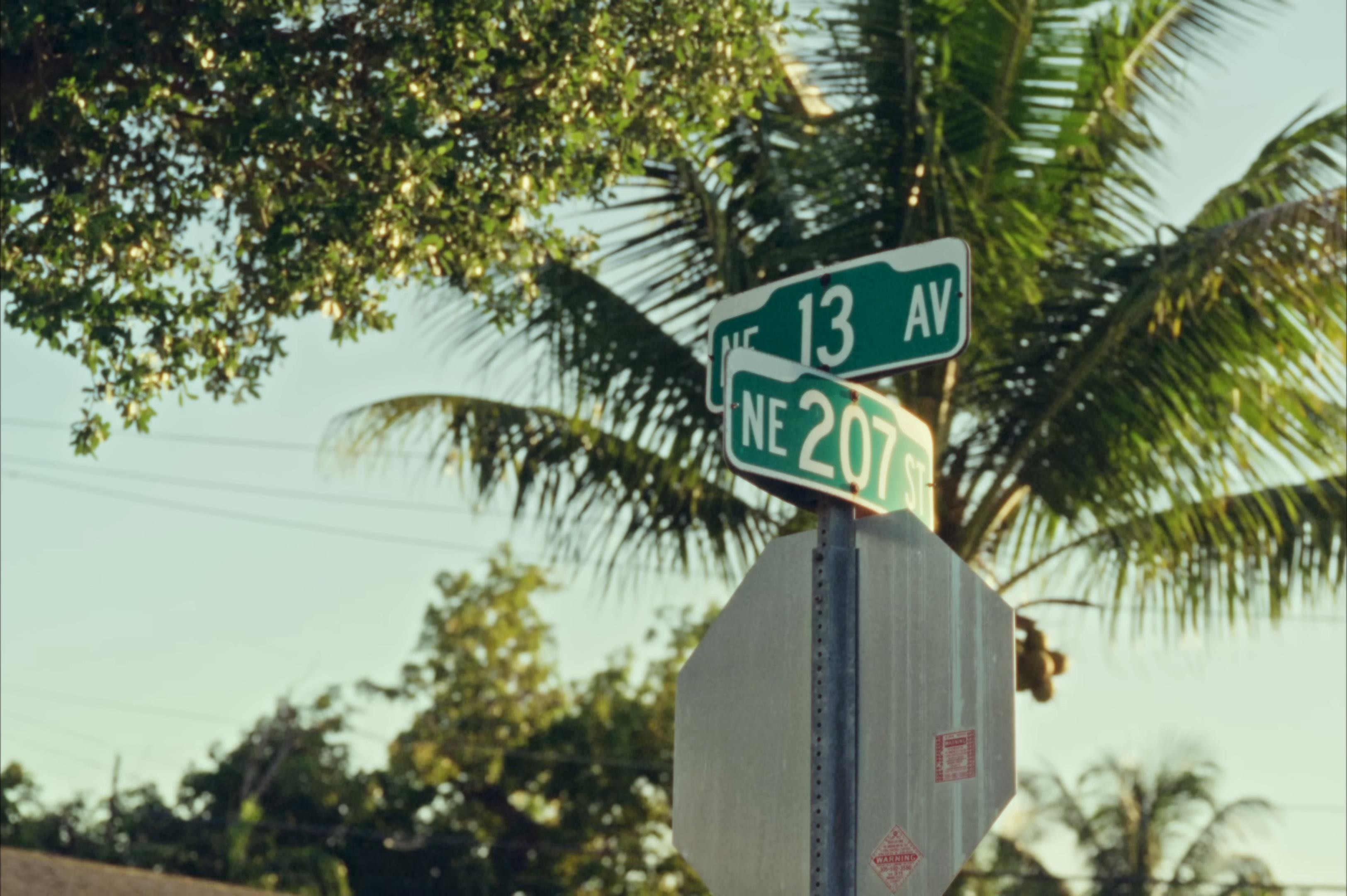 Money Maker  (2025) —  shot,  lighting