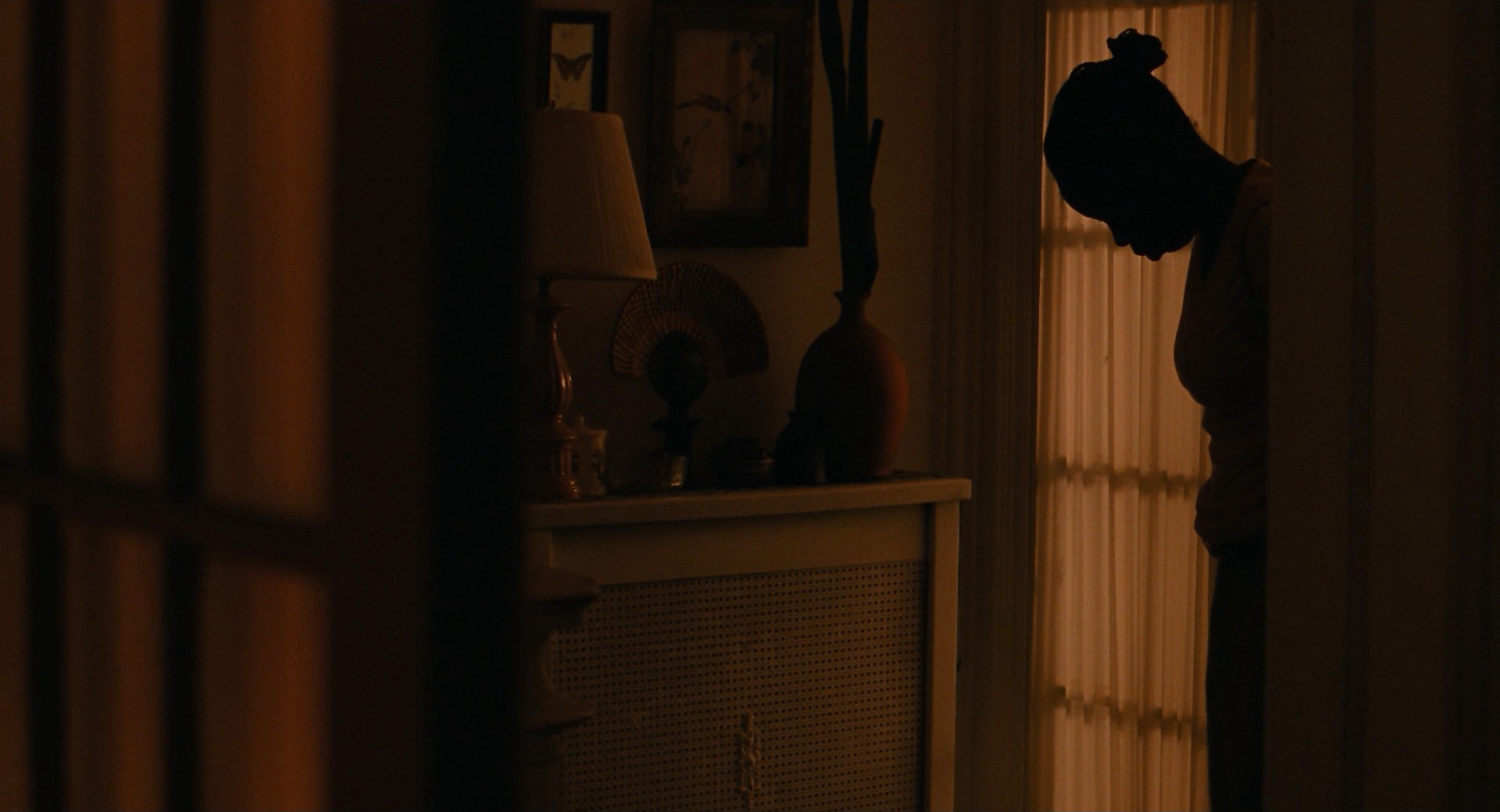 Pariah (2011) —  shot,  lighting