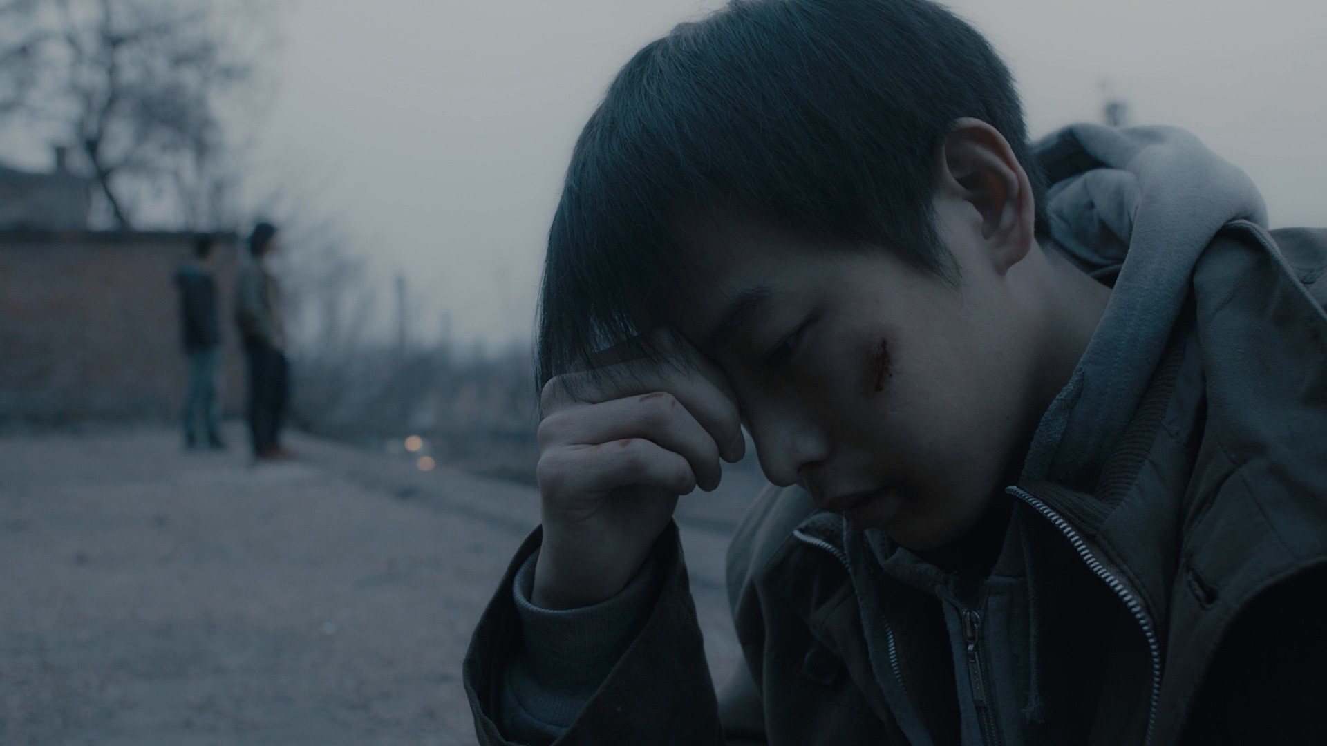 An Elephant Sitting Still (2019) —  shot,  lighting