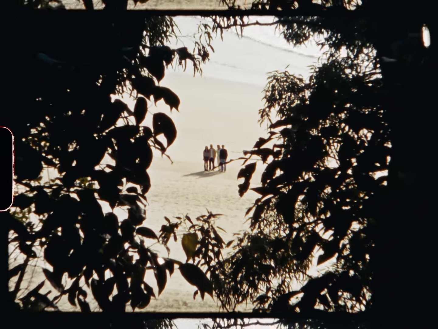 Family Trust (Official Music Video) (2024) —  shot,  lighting