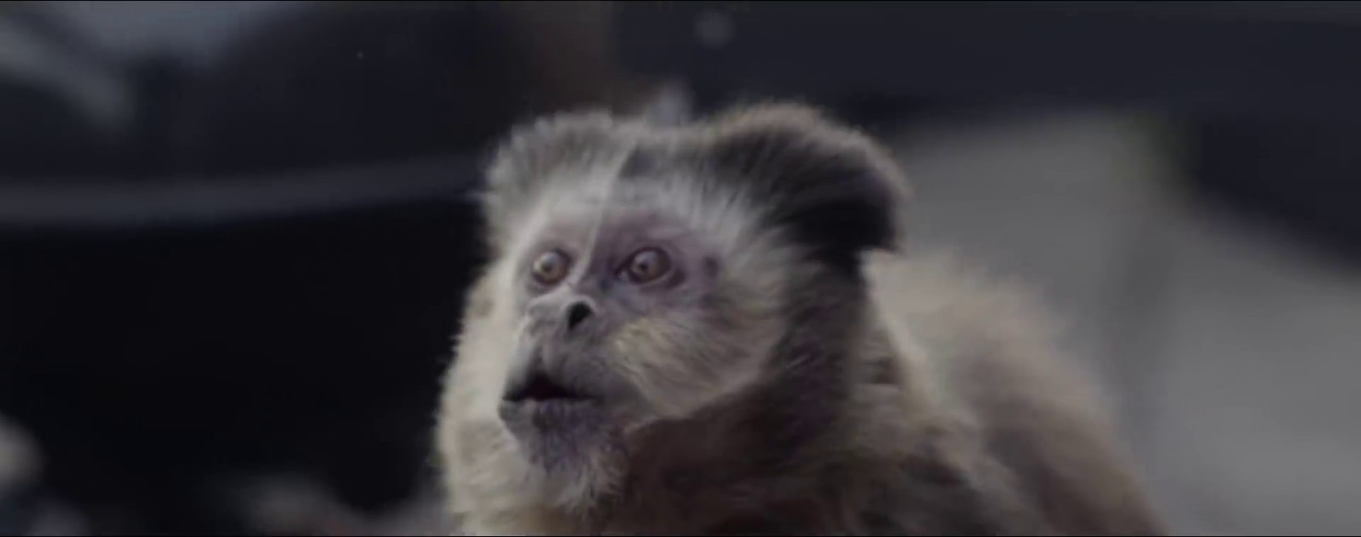 Si Seul (2012) —  shot,  lighting