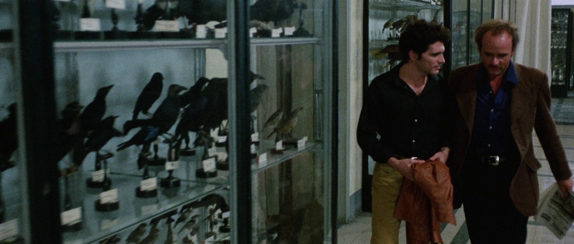 The Bird with the Crystal Plumage (1970) —  shot,  lighting