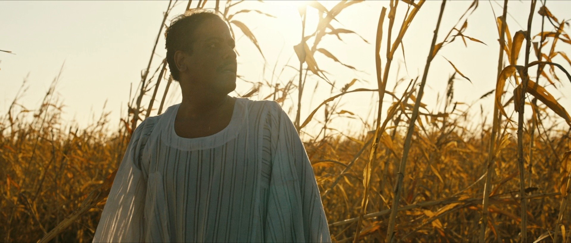 You Will Die at 20 (2022) —  shot,  lighting