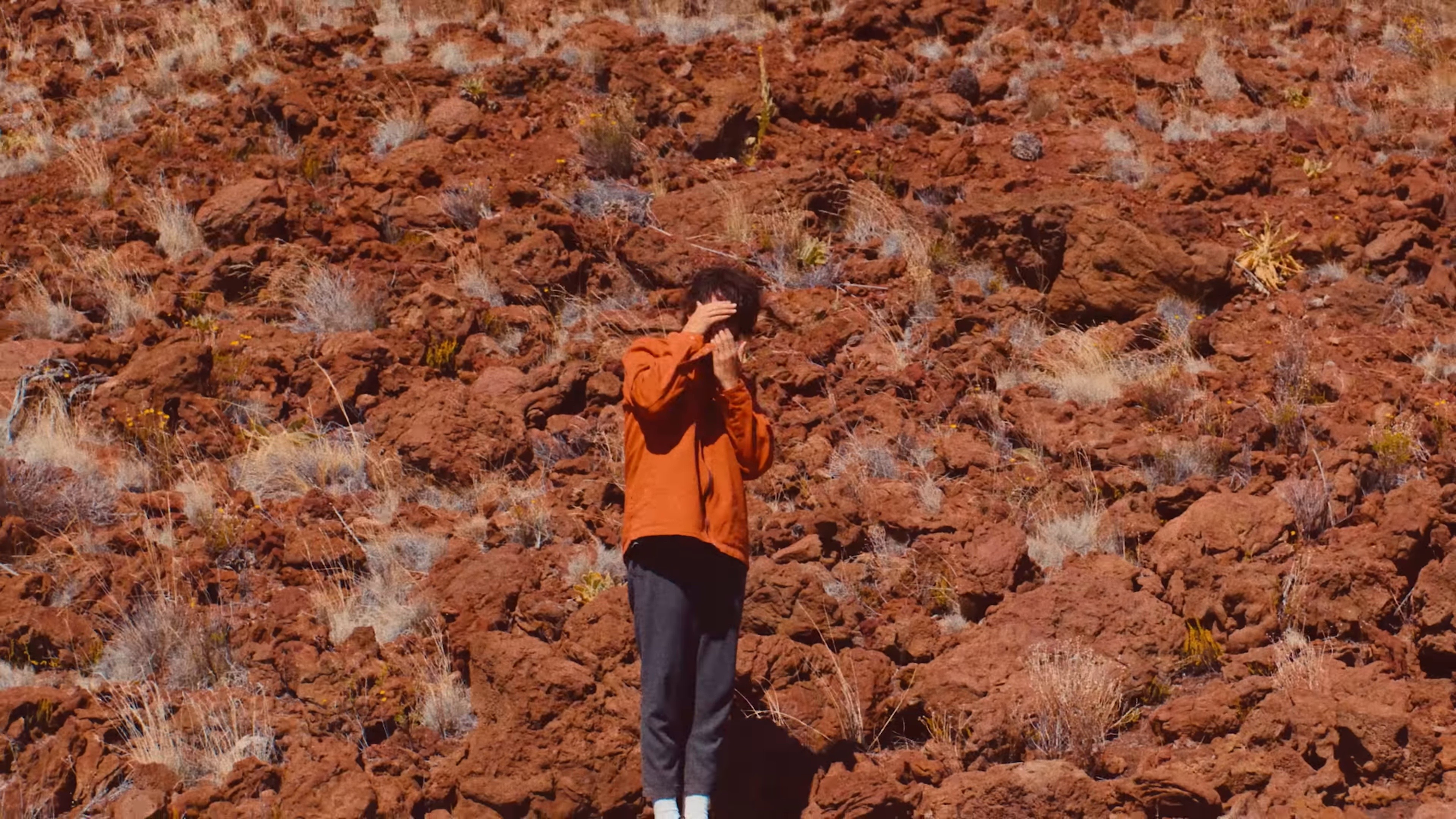 Only If You Say So (2024) —  shot,  lighting