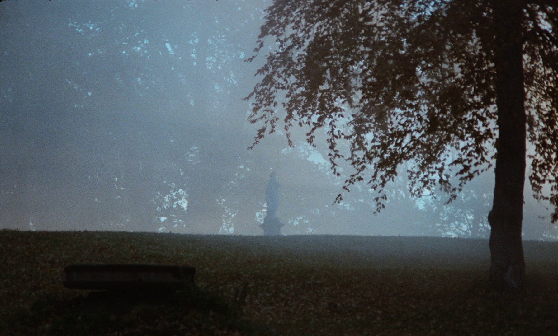 Cries & Whispers (1973) —  shot,  lighting