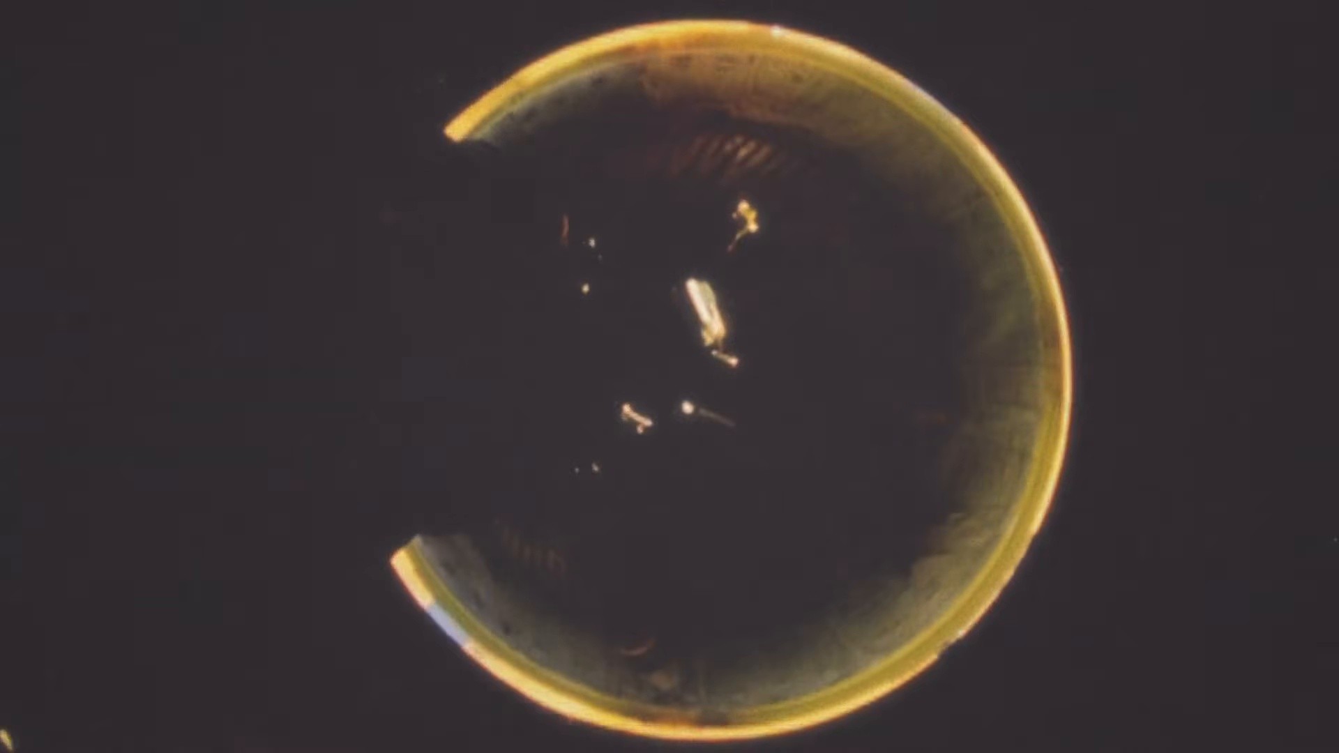 Emily Said (2025) —  shot,  lighting