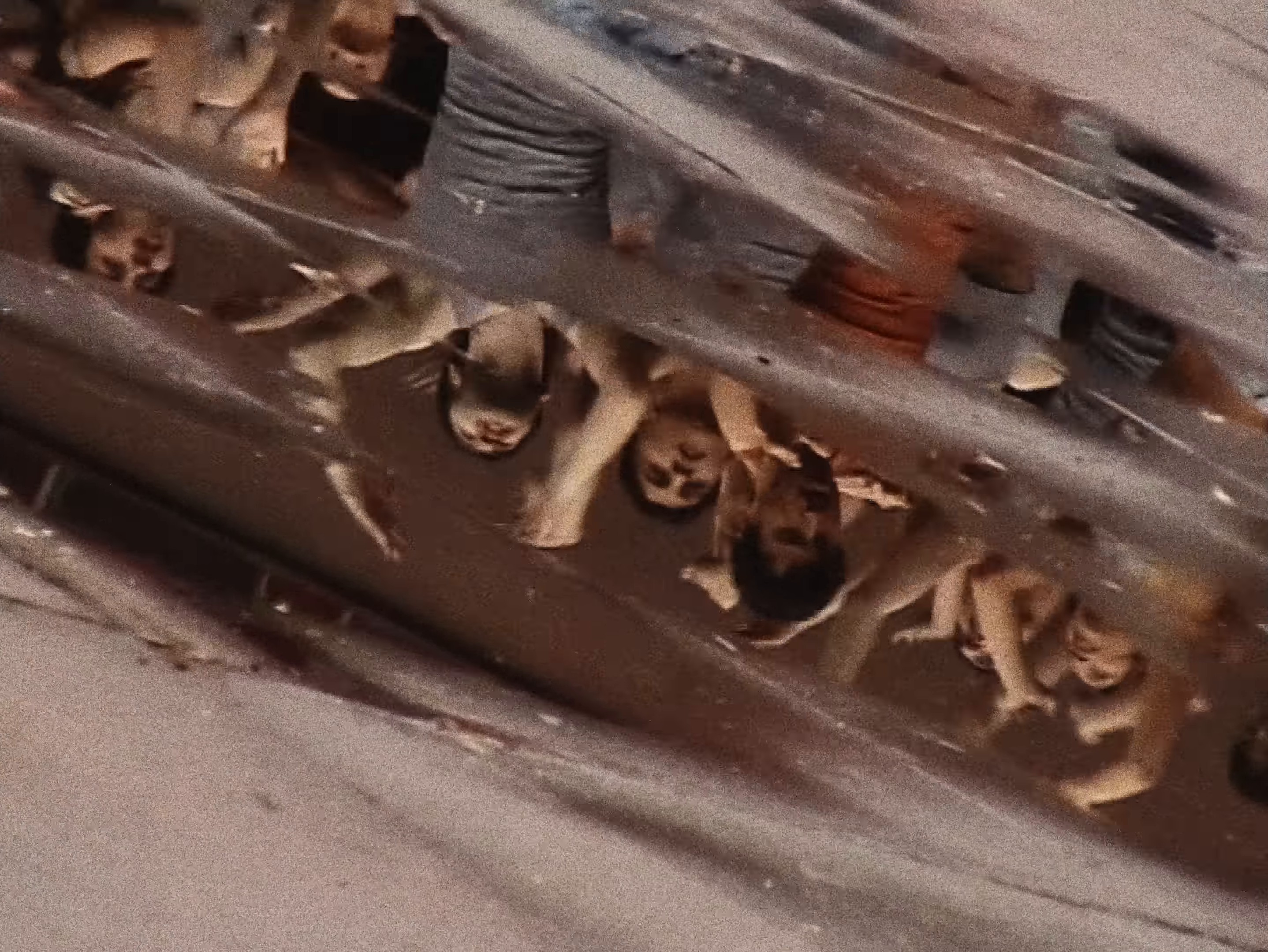 TALETE (2024) —  shot,  lighting