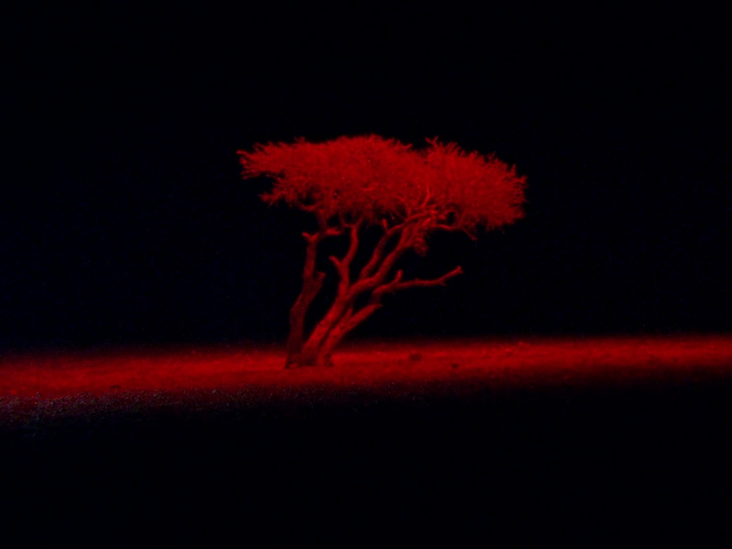 Myrrh & Tonka - Jo Malone (2023) —  shot,  lighting