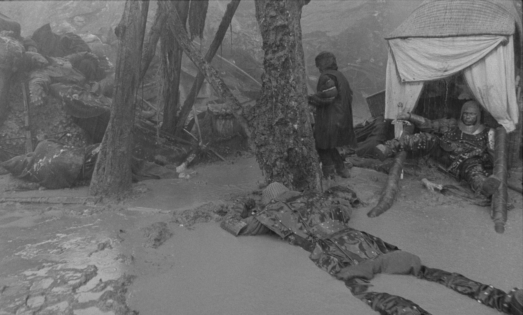 Hard to Be a God (2015) —  shot,  lighting