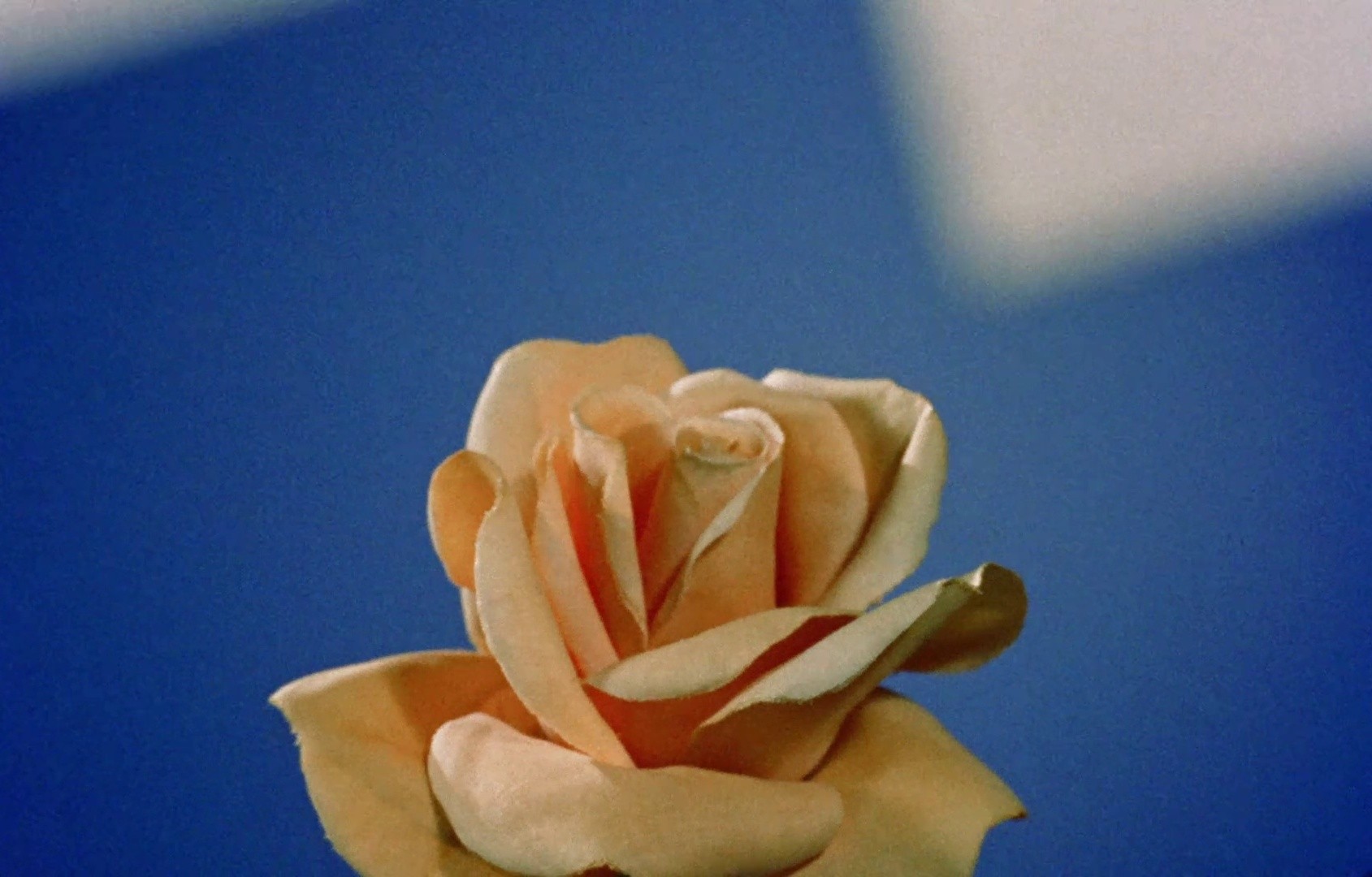 Indiscreet (1958) —  shot,  lighting