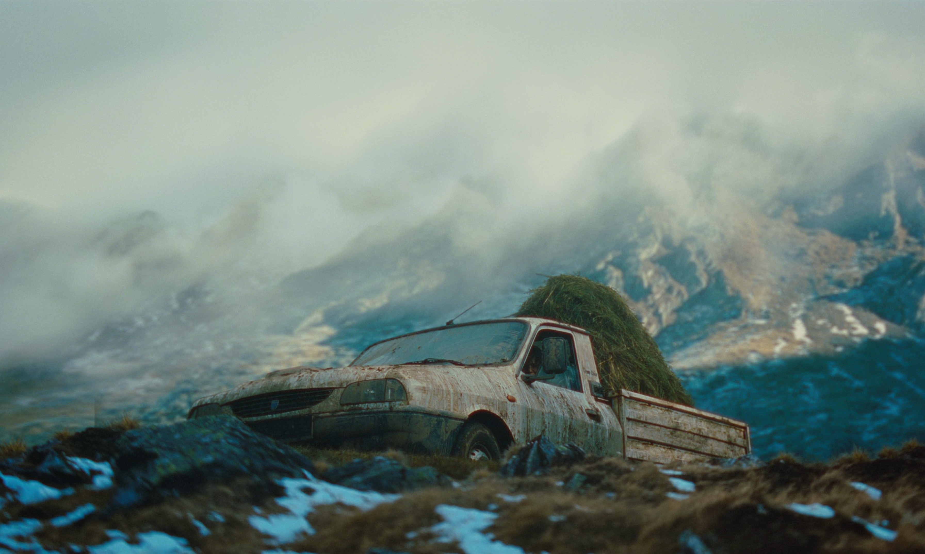 The Legend of Ochi (2025) —  shot,  lighting