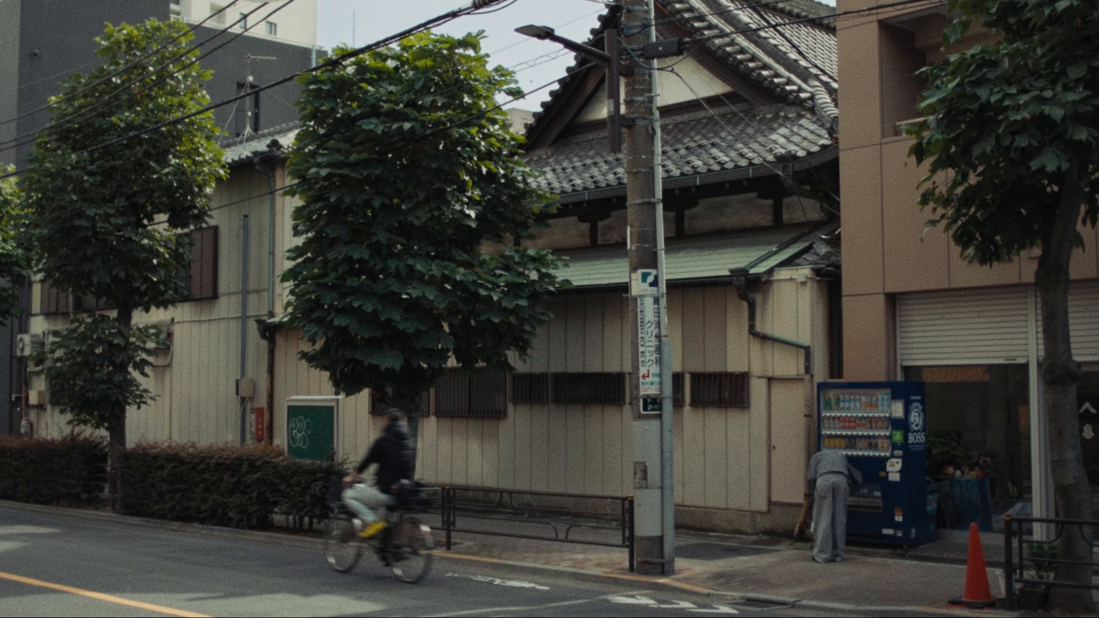 Inaho (2025) —  shot,  lighting