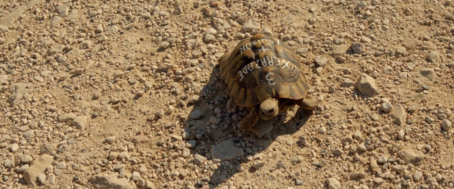 Arabian Nights: Volume 3 - The Enchanted One (2016) —  shot,  lighting