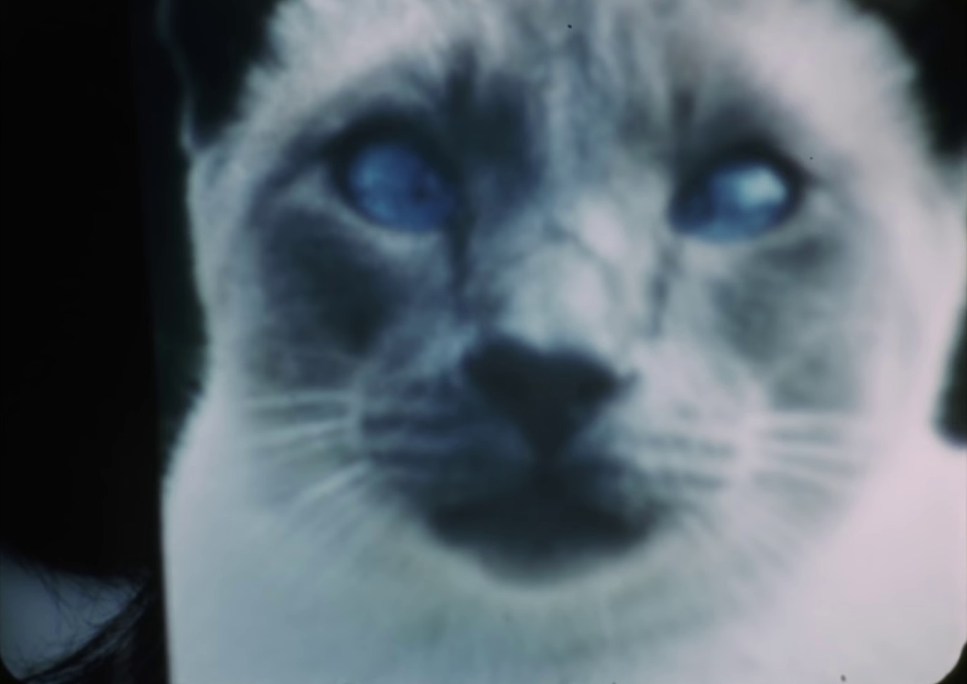 Blue Jay Way (1967) —  shot,  lighting