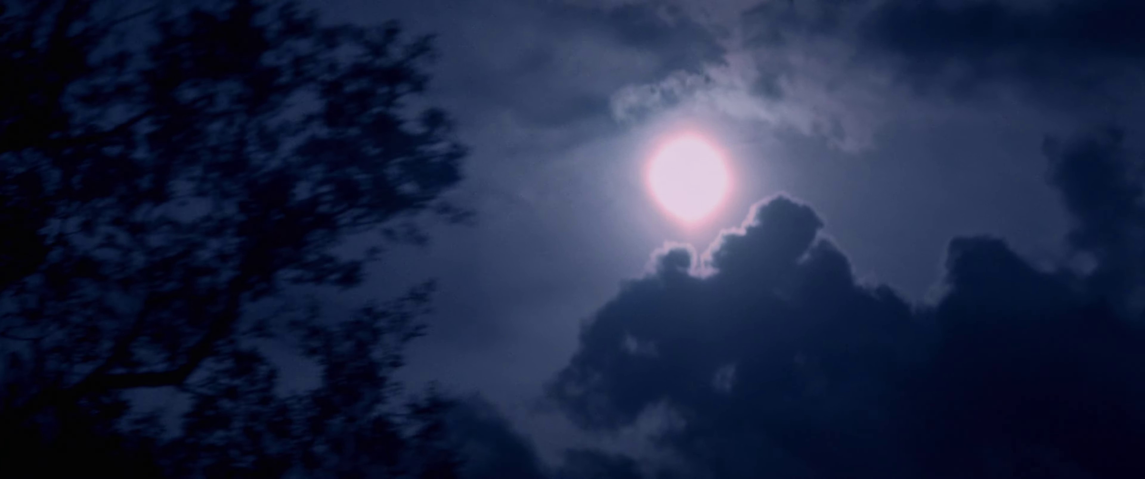 Toute La Nuit (2023) —  shot,  lighting