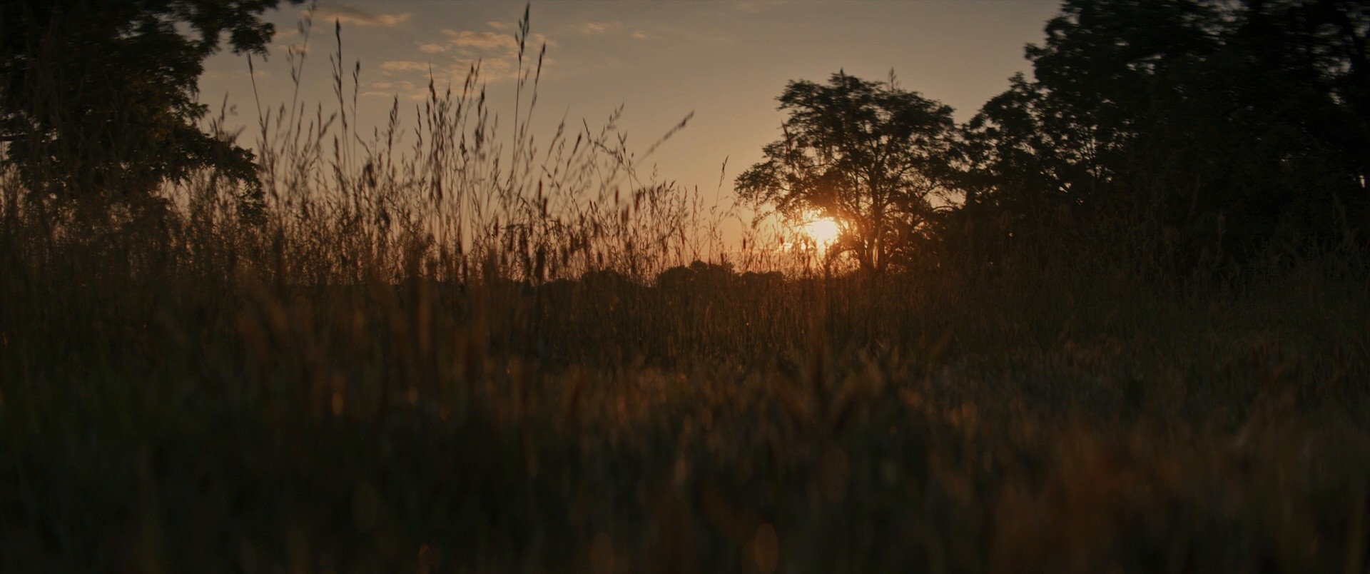 The Woman in the Yard (2025) —  shot,  lighting