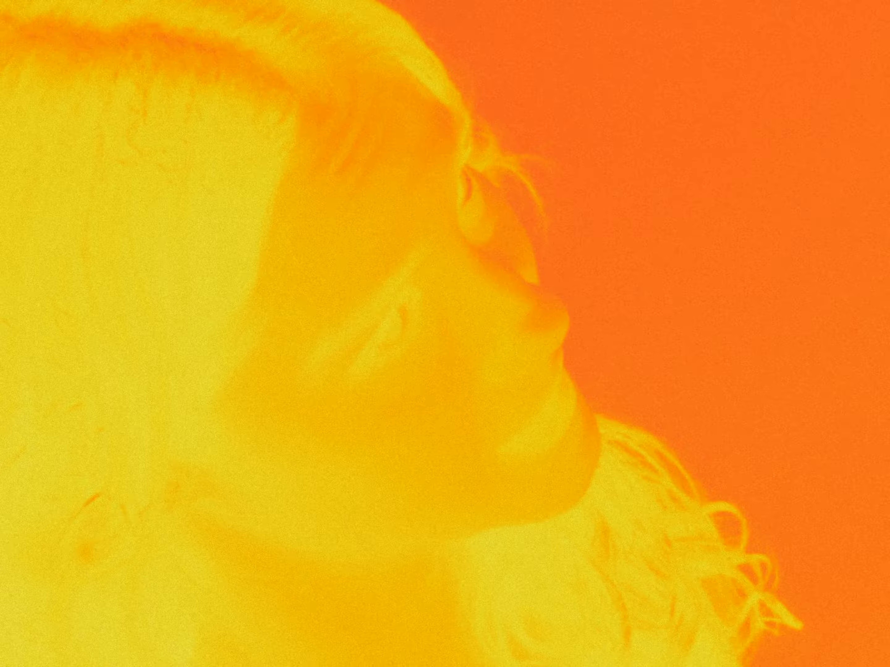 TRANSFORMANDO (2024) —  shot,  lighting