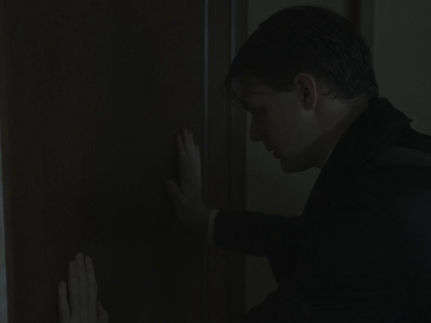 The Whale (2023) —  shot,  lighting