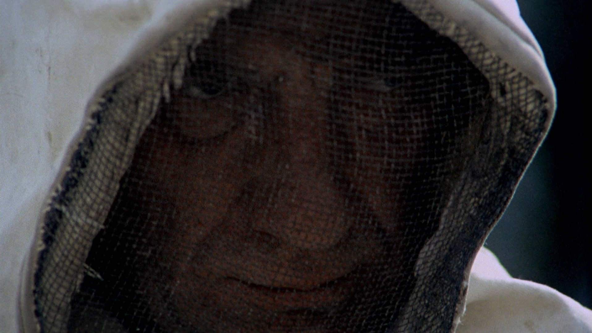 The Spirit of the Beehive (1975) —  shot,  lighting