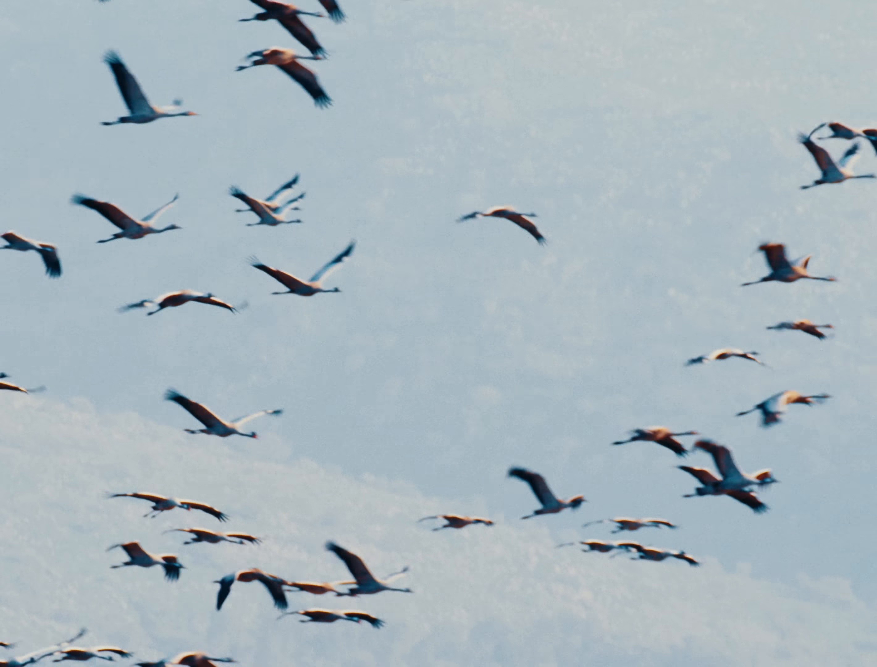 Respirar (2025) —  shot,  lighting