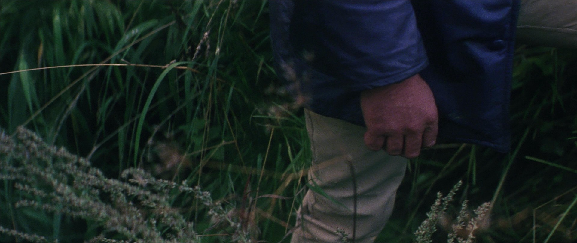 Solaris (1972) —  shot,  lighting